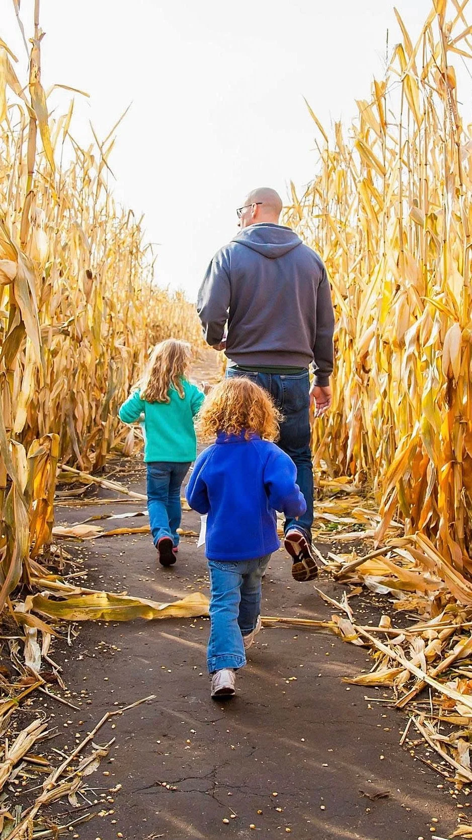 attachment-corn-maze-generic.JPG