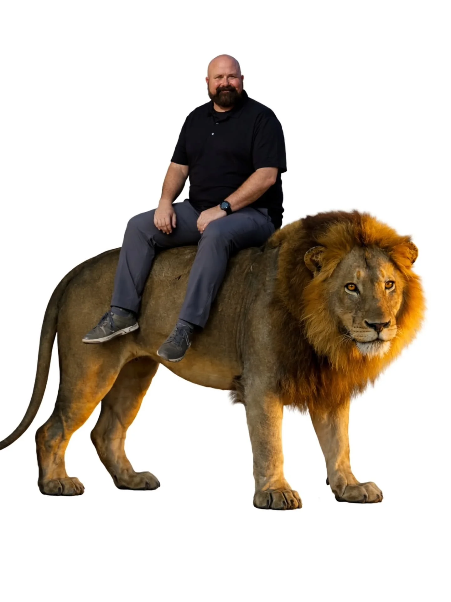 You've heard of Elf on the Shelf.....