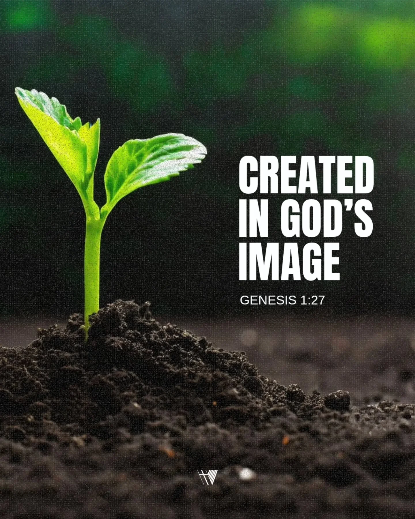 We were reminded on Sunday that we are created in God's image. And we are made to reflect His image