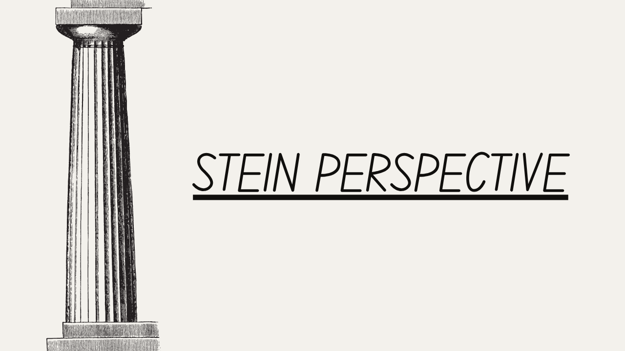 steinperspective.png