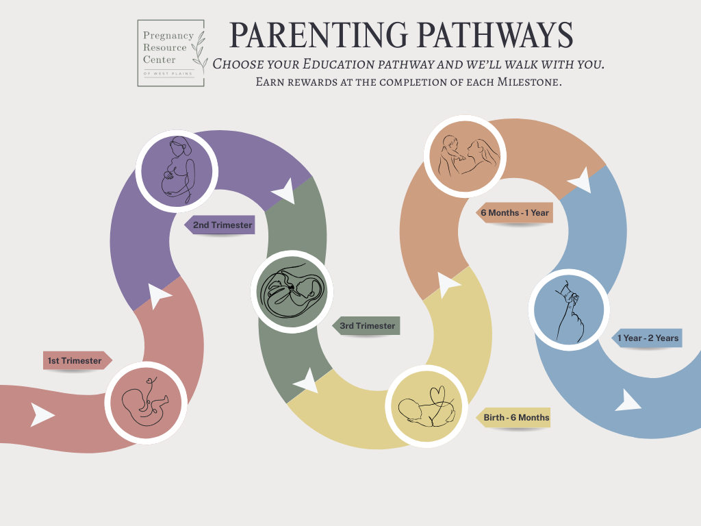 infographic of education program