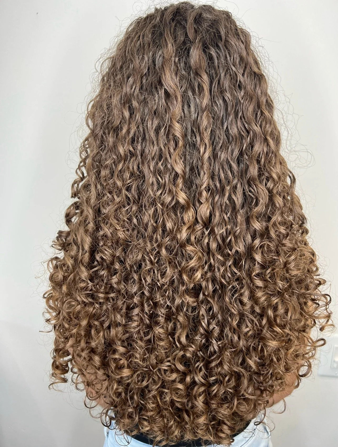 Back view of a person with long, tightly curled, light brown hair.