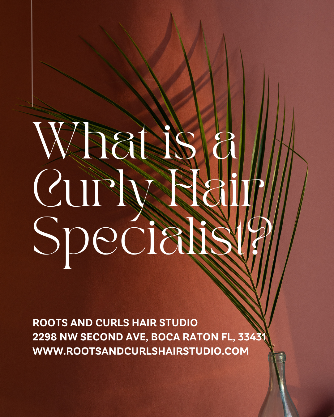 What is a Curly Hair Specialist? Understanding the Art and Science of Curly Hair Care