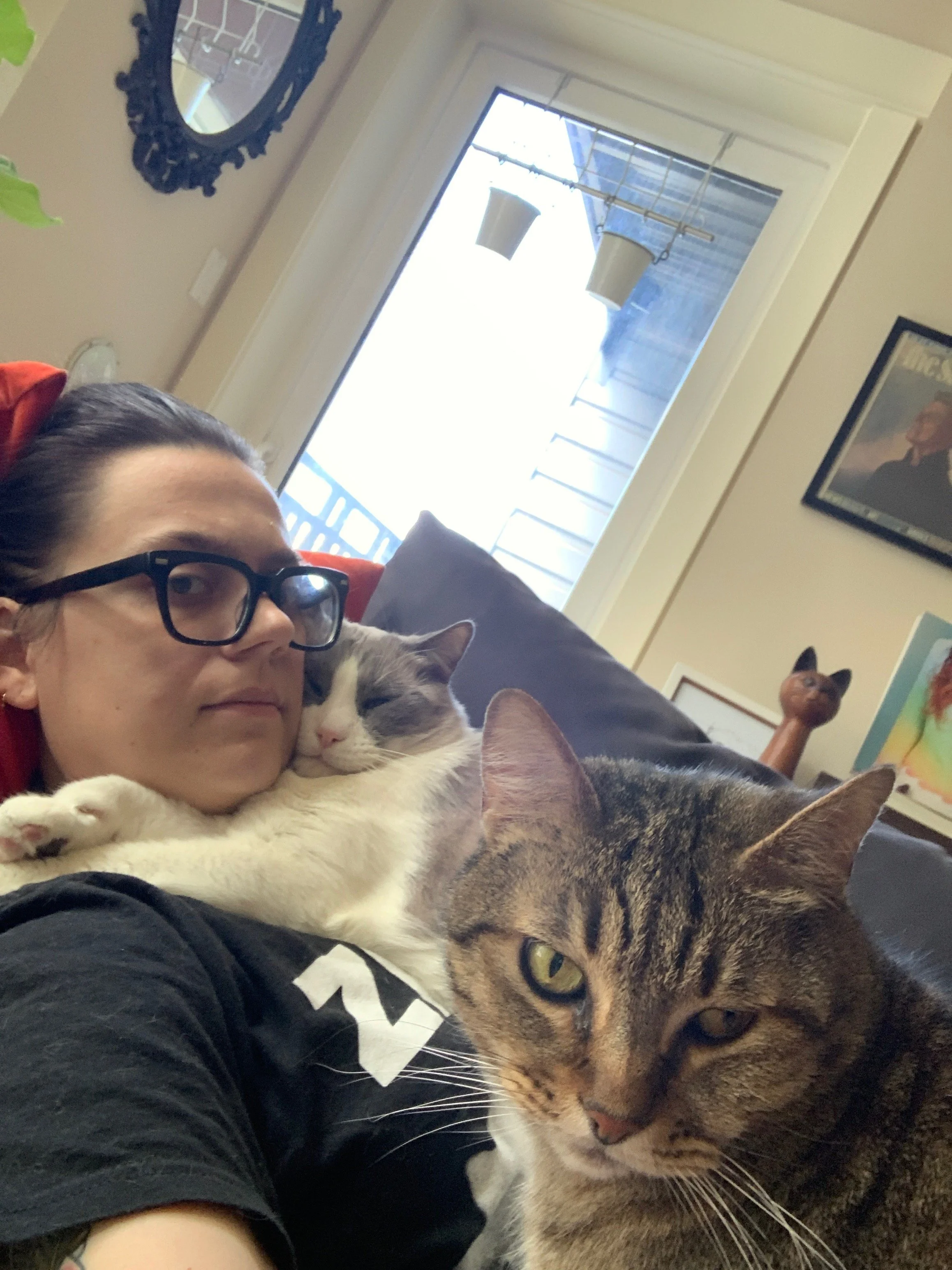 My experience with pet loss