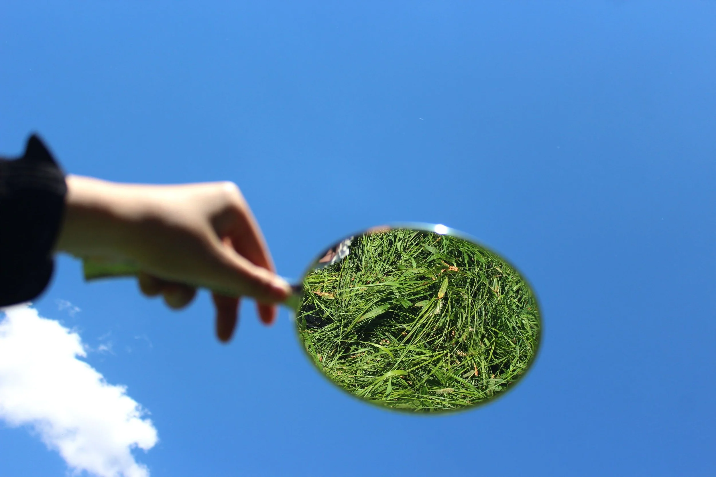 What I Left Out