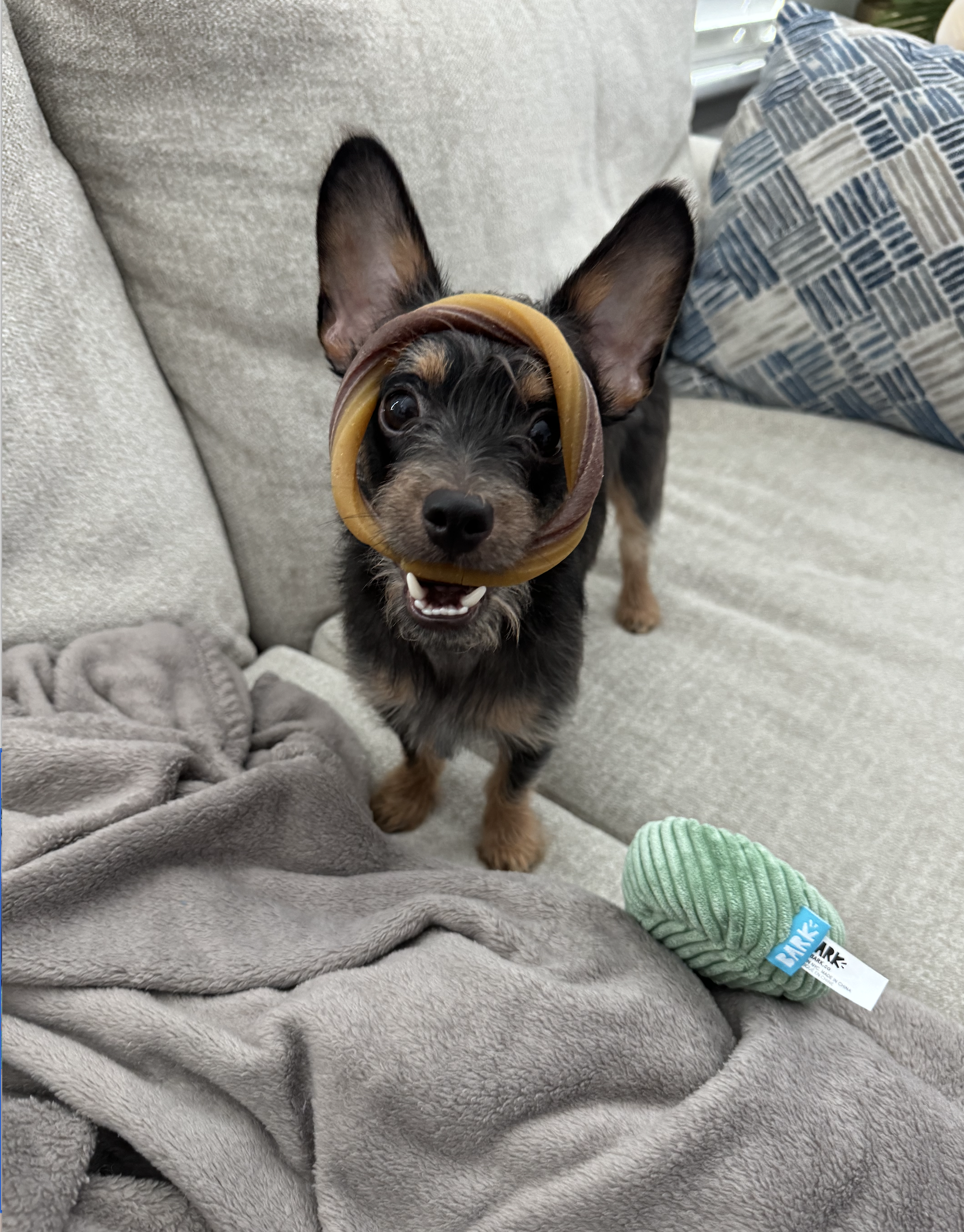 Screen Shot 2025-03-22 at 11.53.07 AM.png