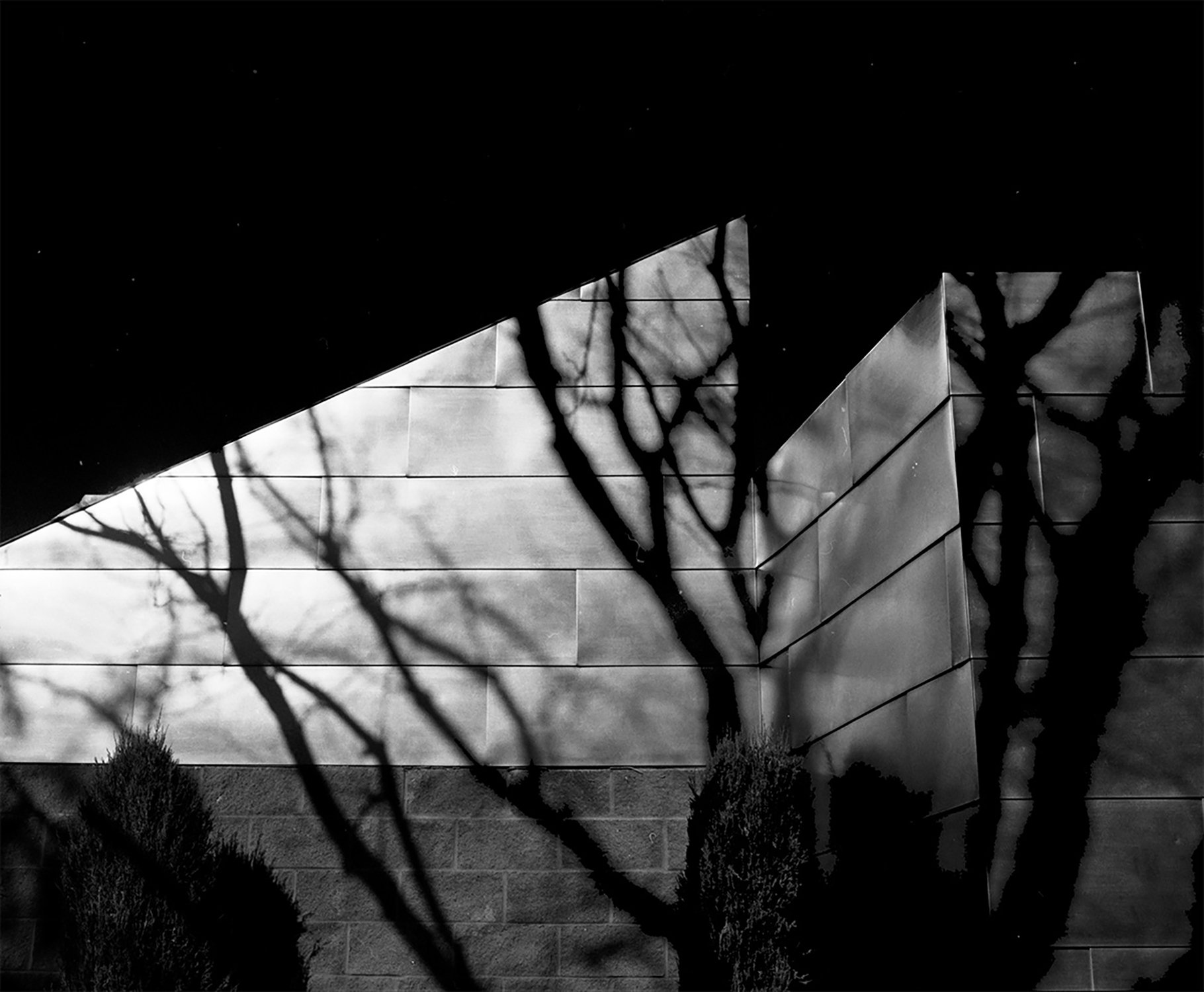 Morning Light and Shadow.jpg