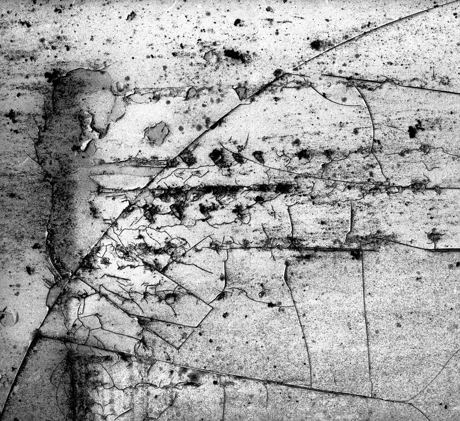 Cracked Paint _2.jpg