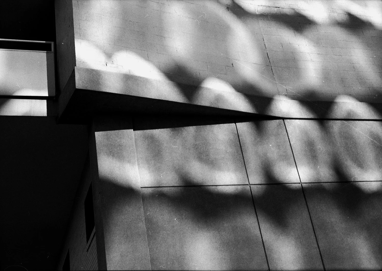 Reflections+and+Geometery.jpg