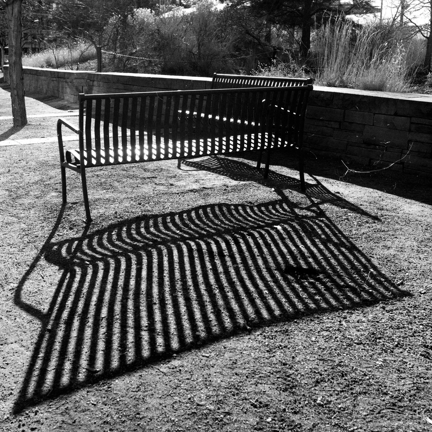 Bench.jpg