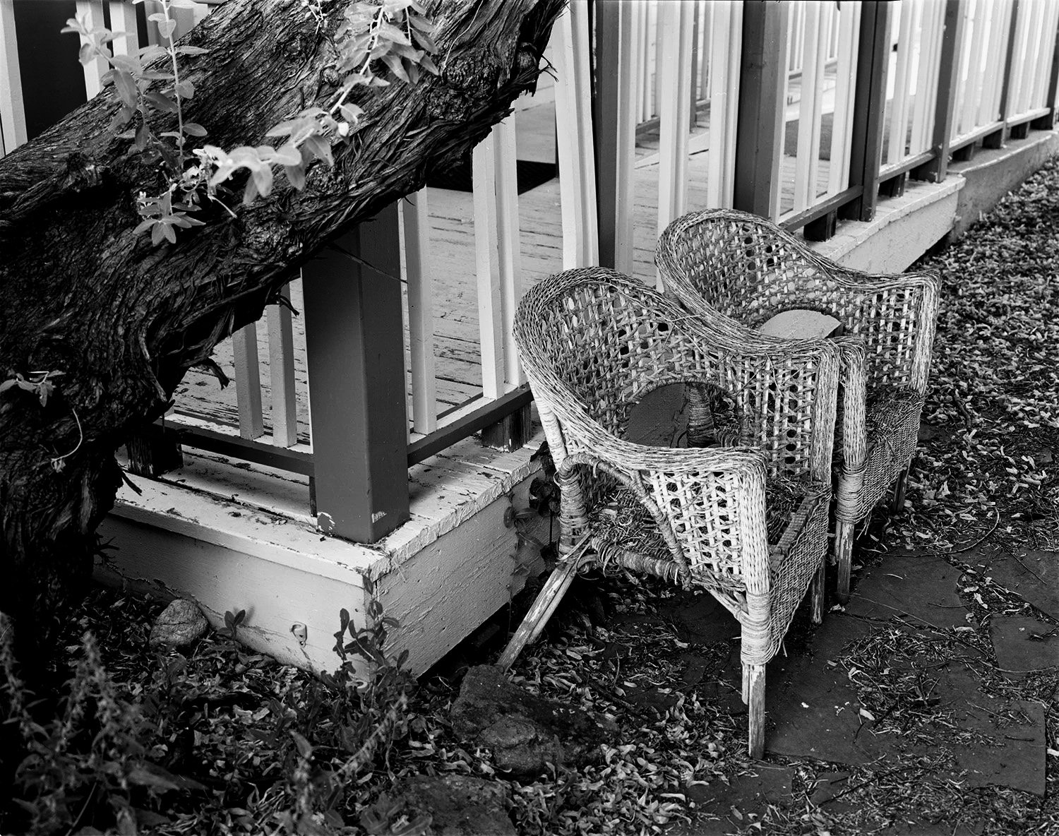 Wicker+Chairs.jpg