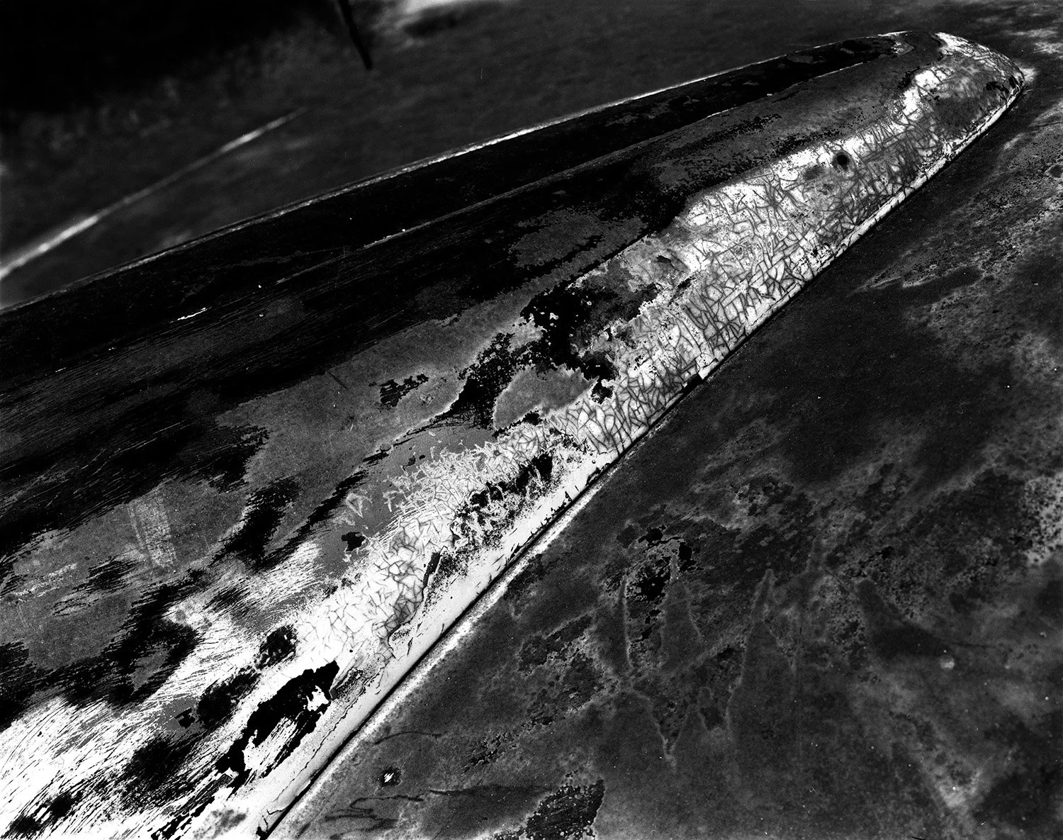 Headlight Detail.jpg