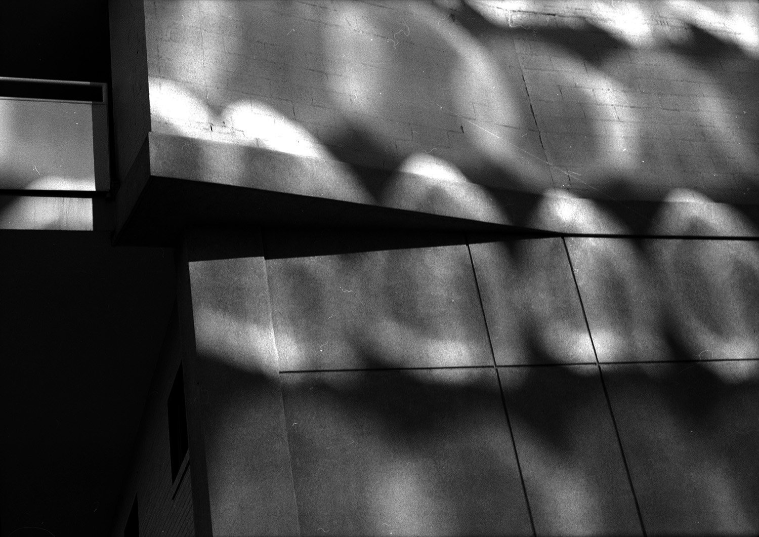 Reflections and Geometery.jpg