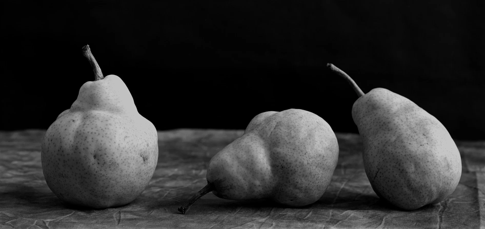 Three Pears.jpg