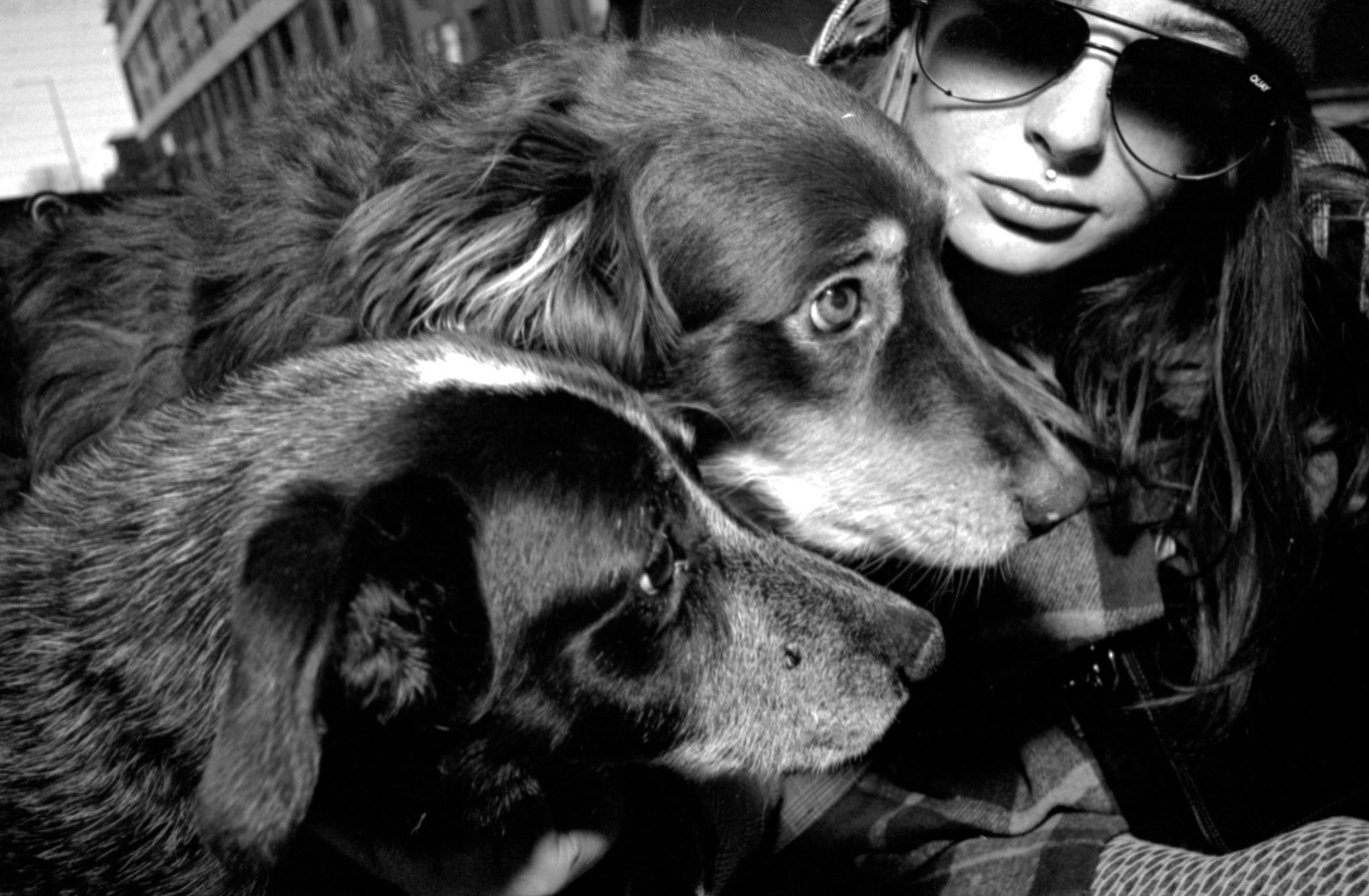 Pearl, Bentley and Clare.jpg