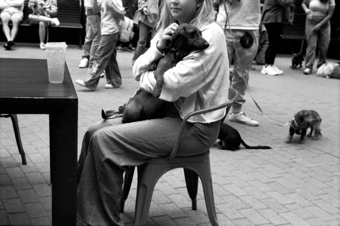 Dachshund Meetup 5.jpg