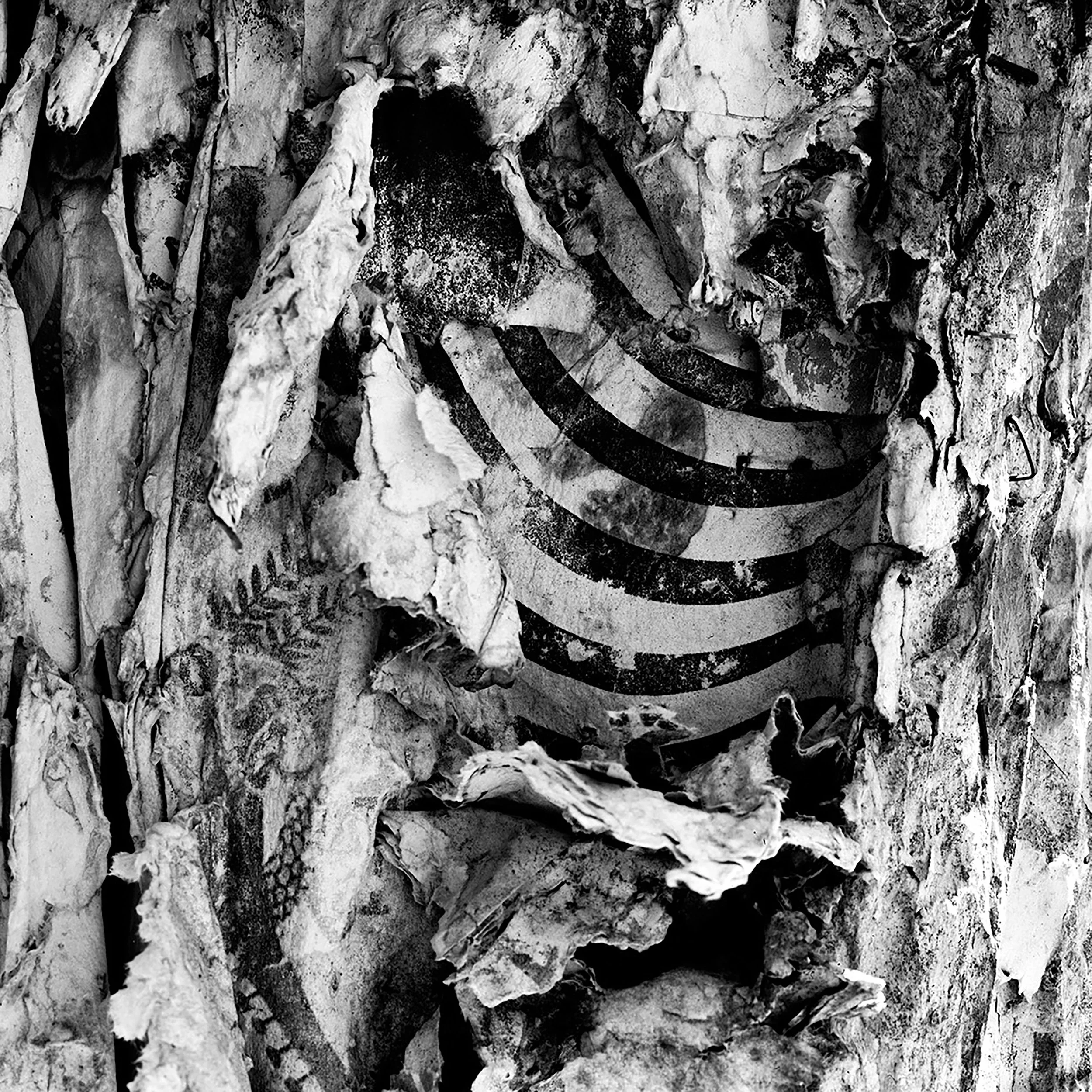 Hand Bills and Staples 5.jpg