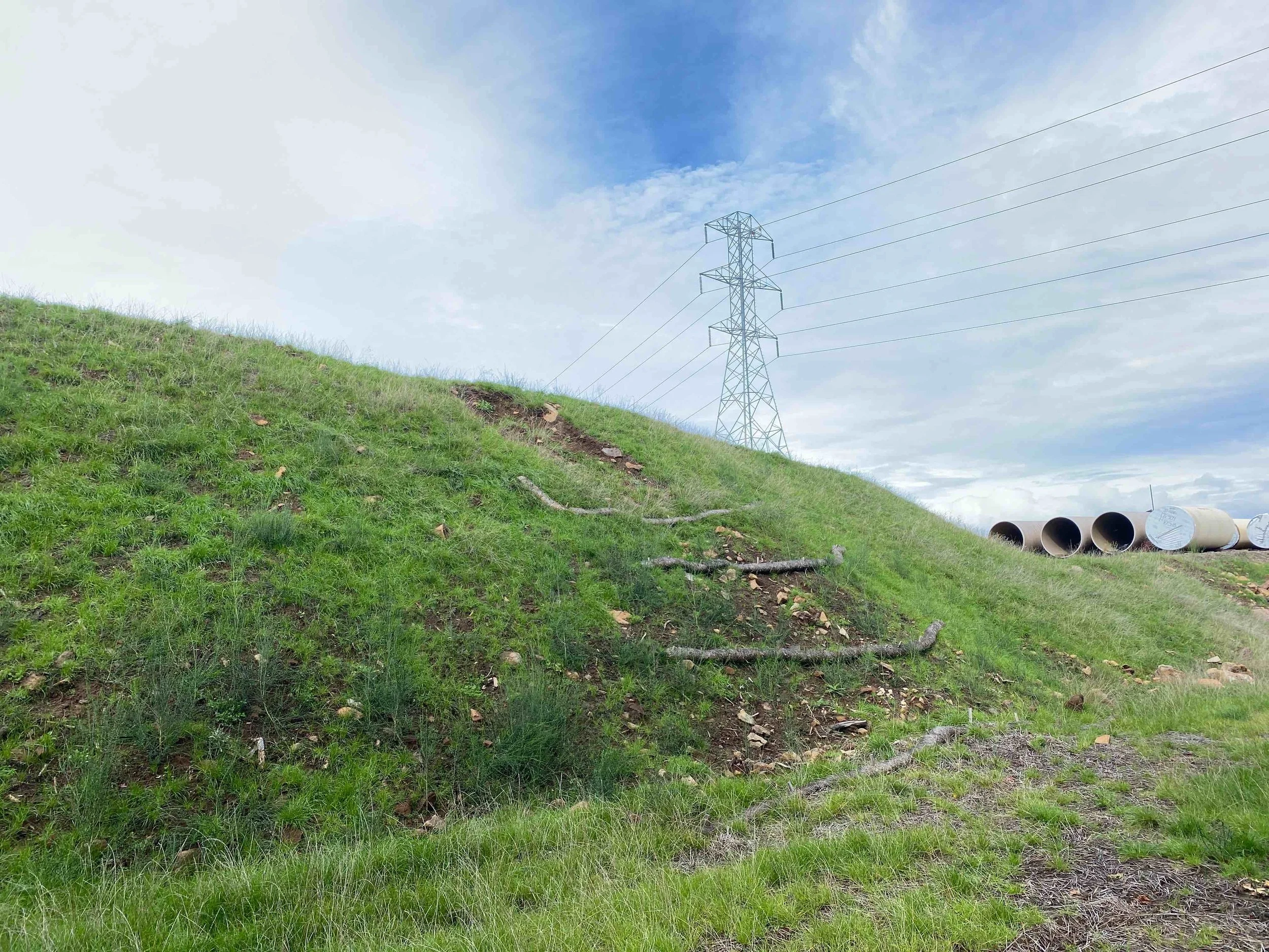 Straw wattles and vegetation for erosion control on stockpile
