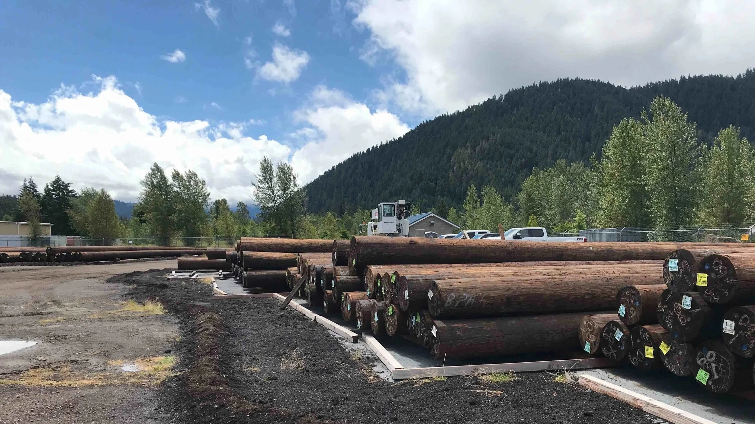 Poles in construction laydown yard