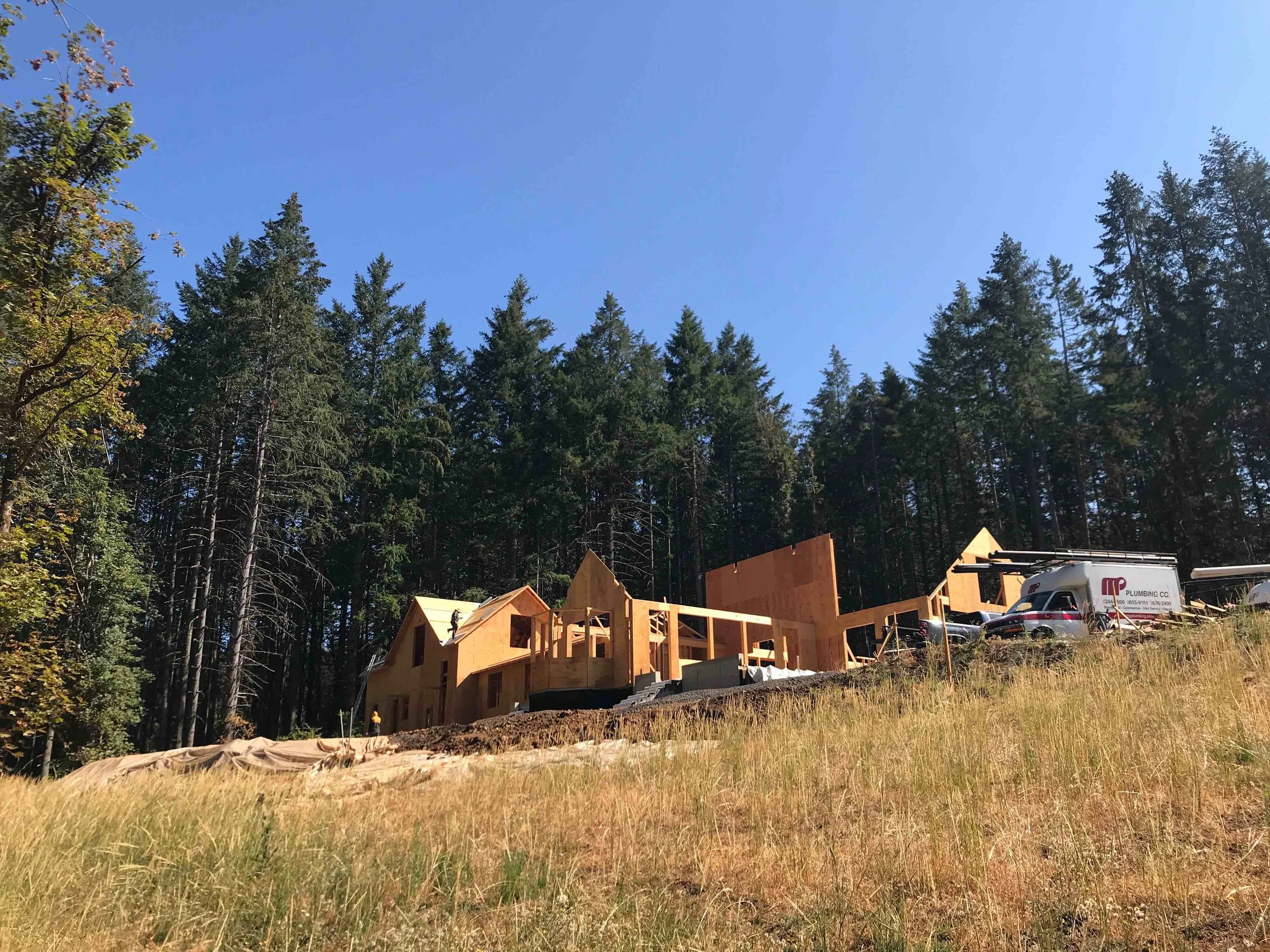 Residential house construction in forest