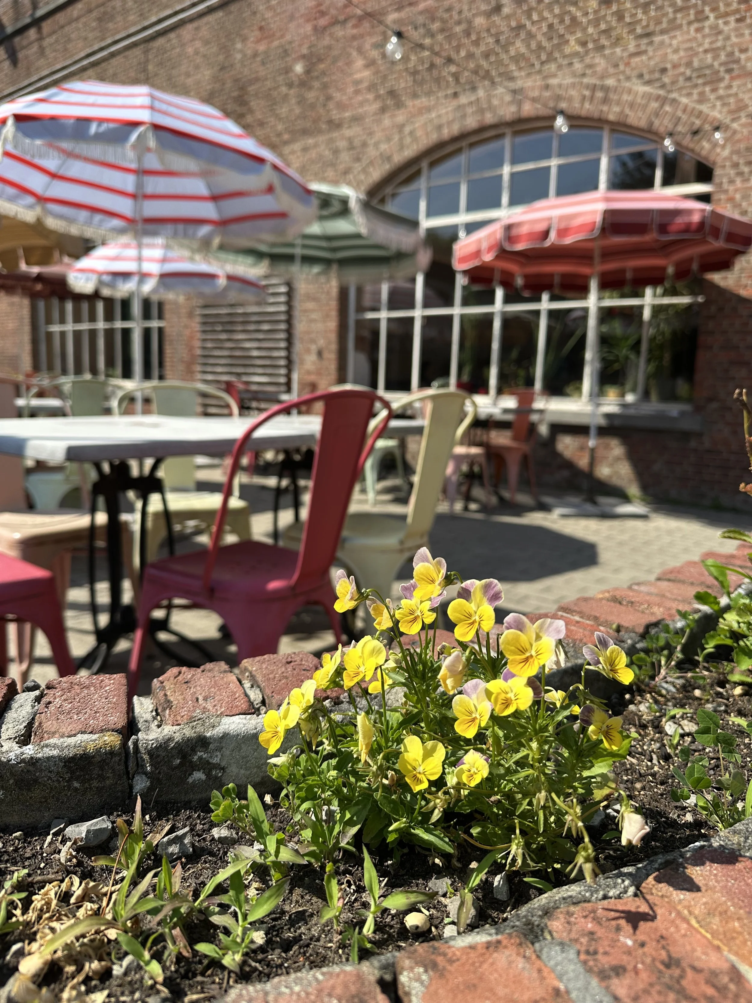 Zomerbar Hoofdkwartier 