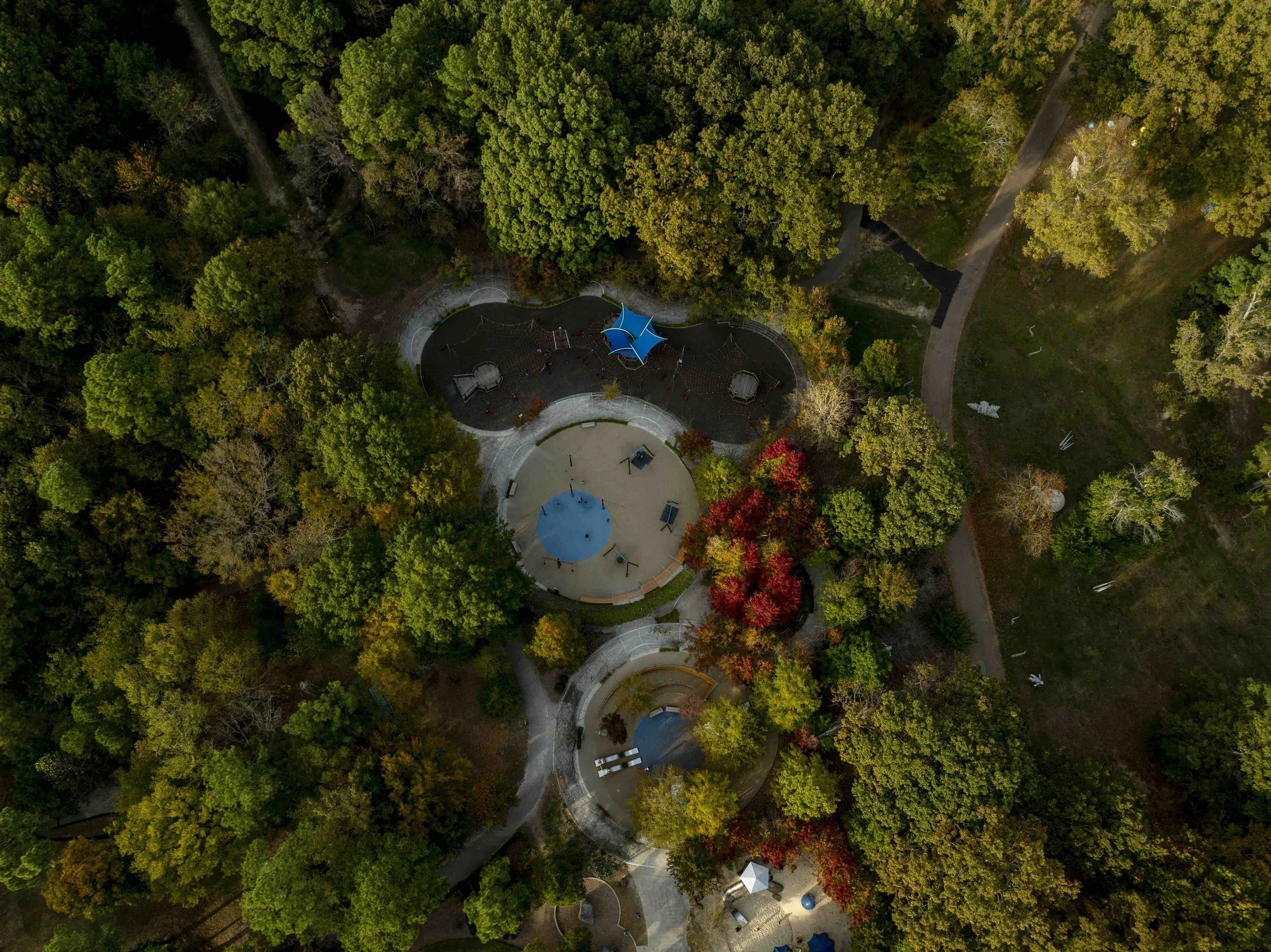 Shelby Farms Drone FALL 2024-DJI_20241028164644_0092_D.jpeg