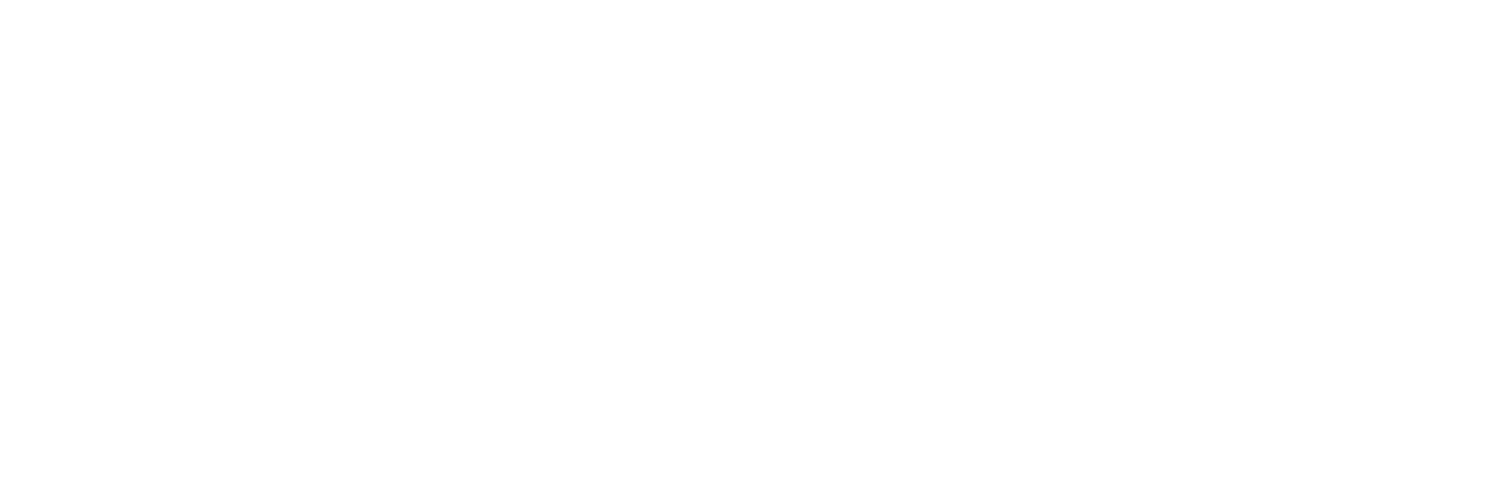 Morgan Taylor Executive Search, LLC