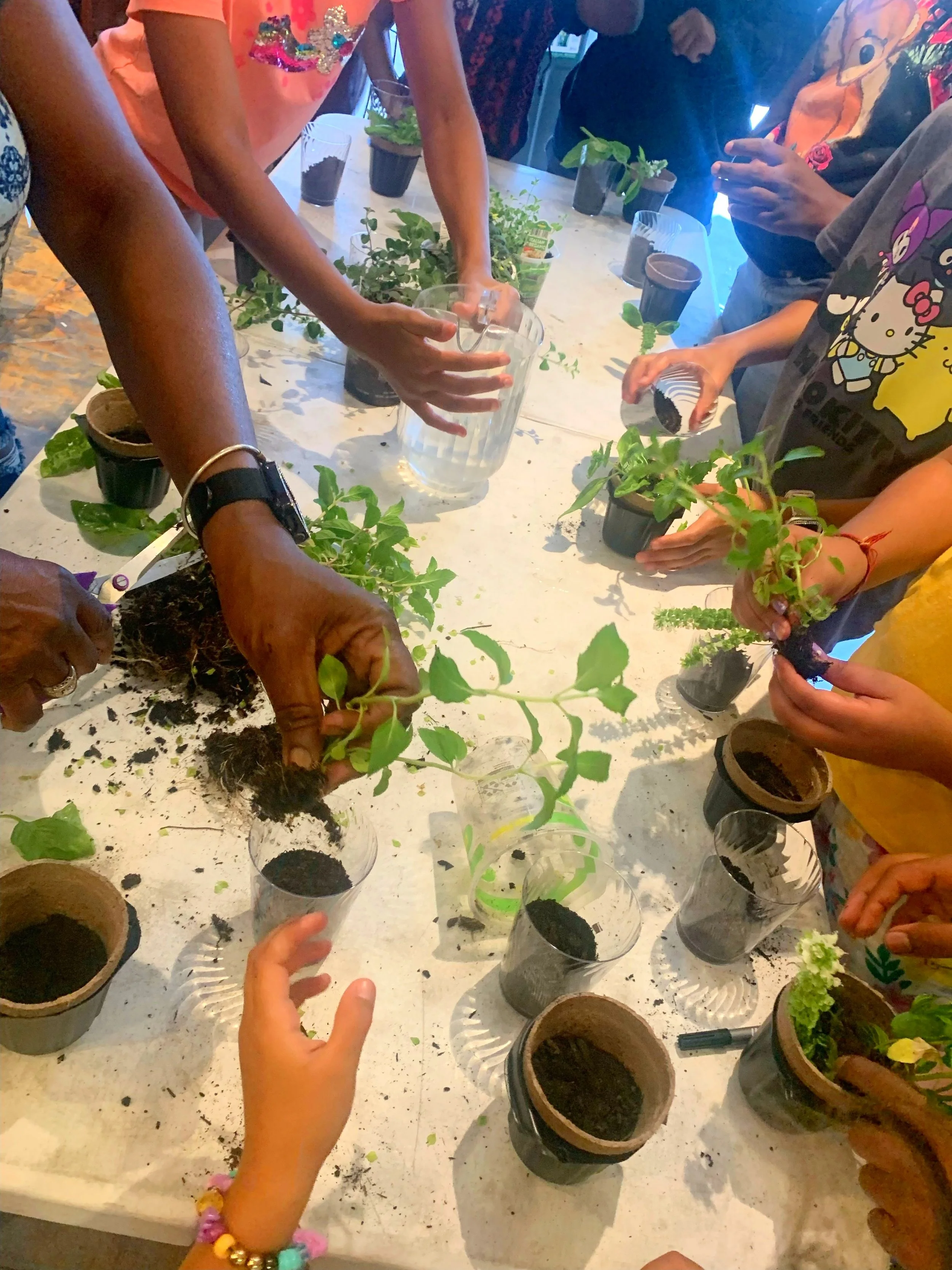 Multiple children and adults planting small green plants in pots on a table, some are transferring soil into pots, and others are handling the plants.