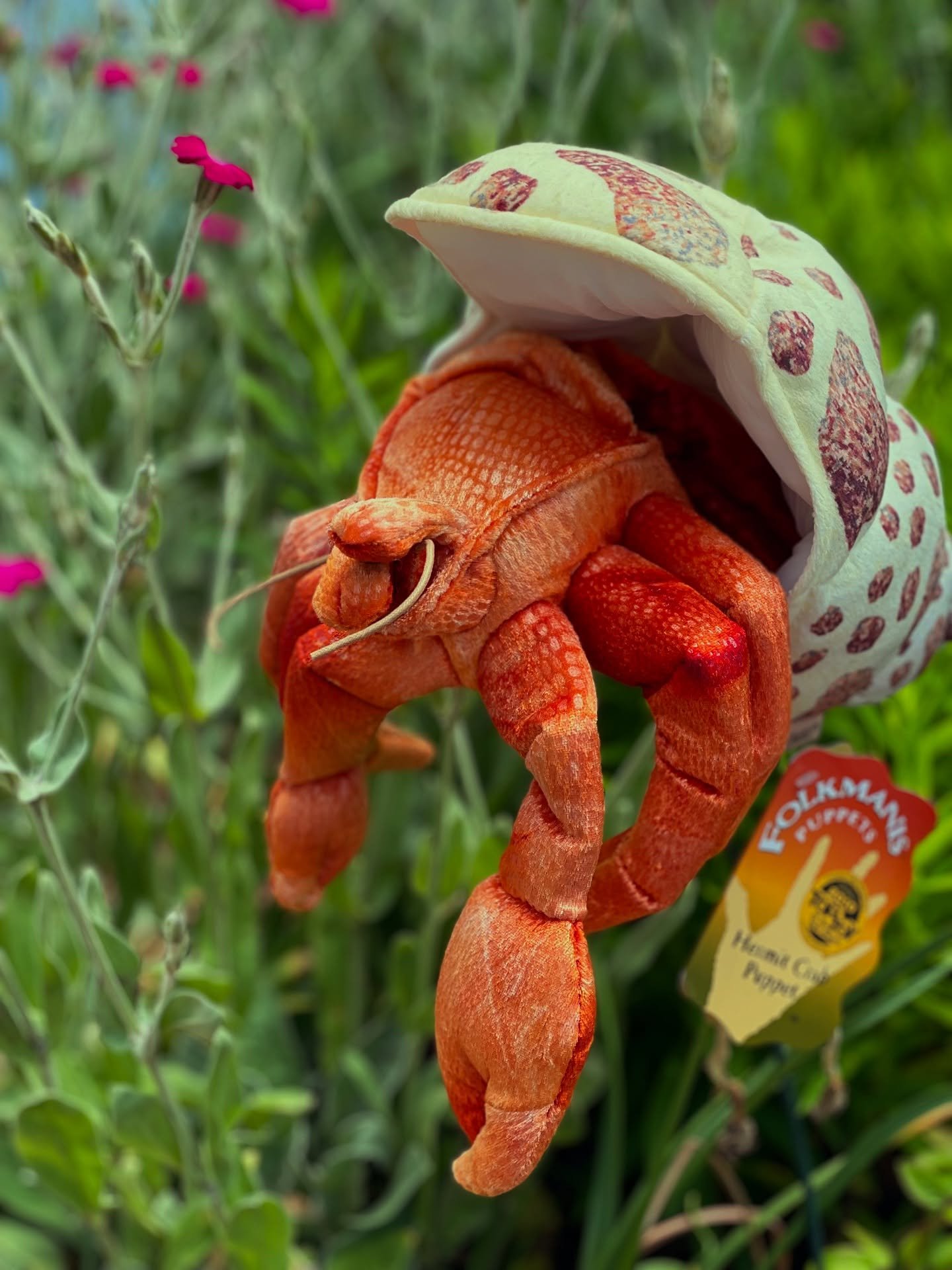 Time to come out of your shell - it's the weekend and it's summer!☀️@Abiyoyostore #wellfleet #toystore # folkmanispuppets #capecod