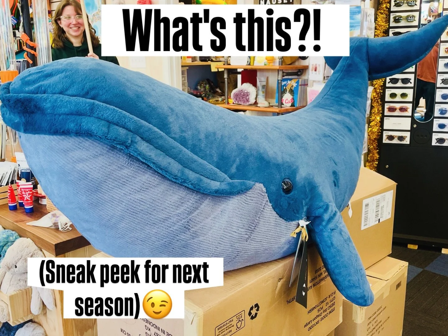 Today (Sunday, Dec. 21) is the last day we are open this year! But here's a peek at what we're already planning for next season 🐳#jellycat #whales #abiyoyostore #abiyoyo #wellfleet