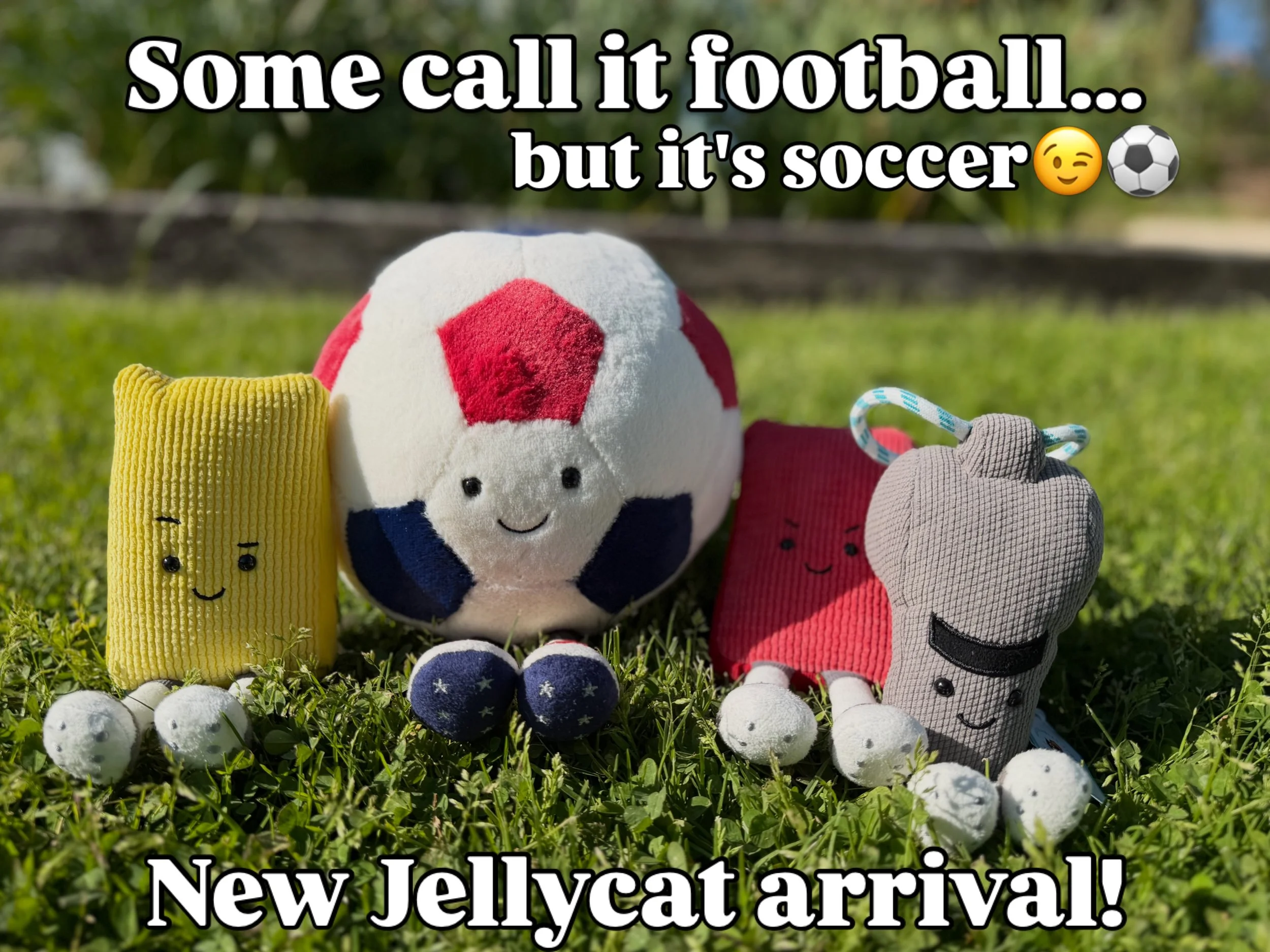 Soccer ball, yellow flag, red flag, and a whistle (in case you were wondering) 😉 #jellycat #jellycatofinstagram #abiyoyo #wellfleet #football club