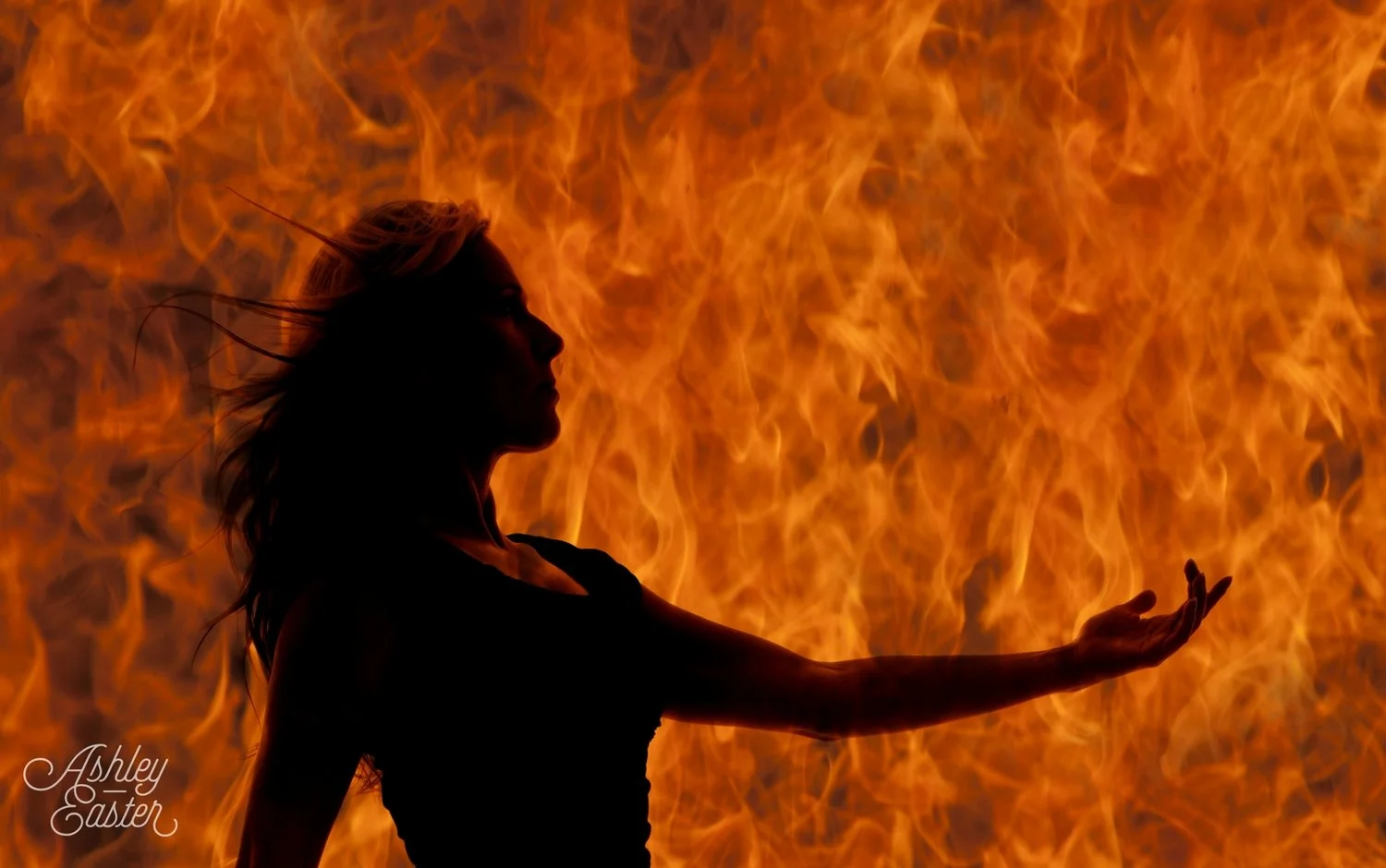 Bra Burning Heretics