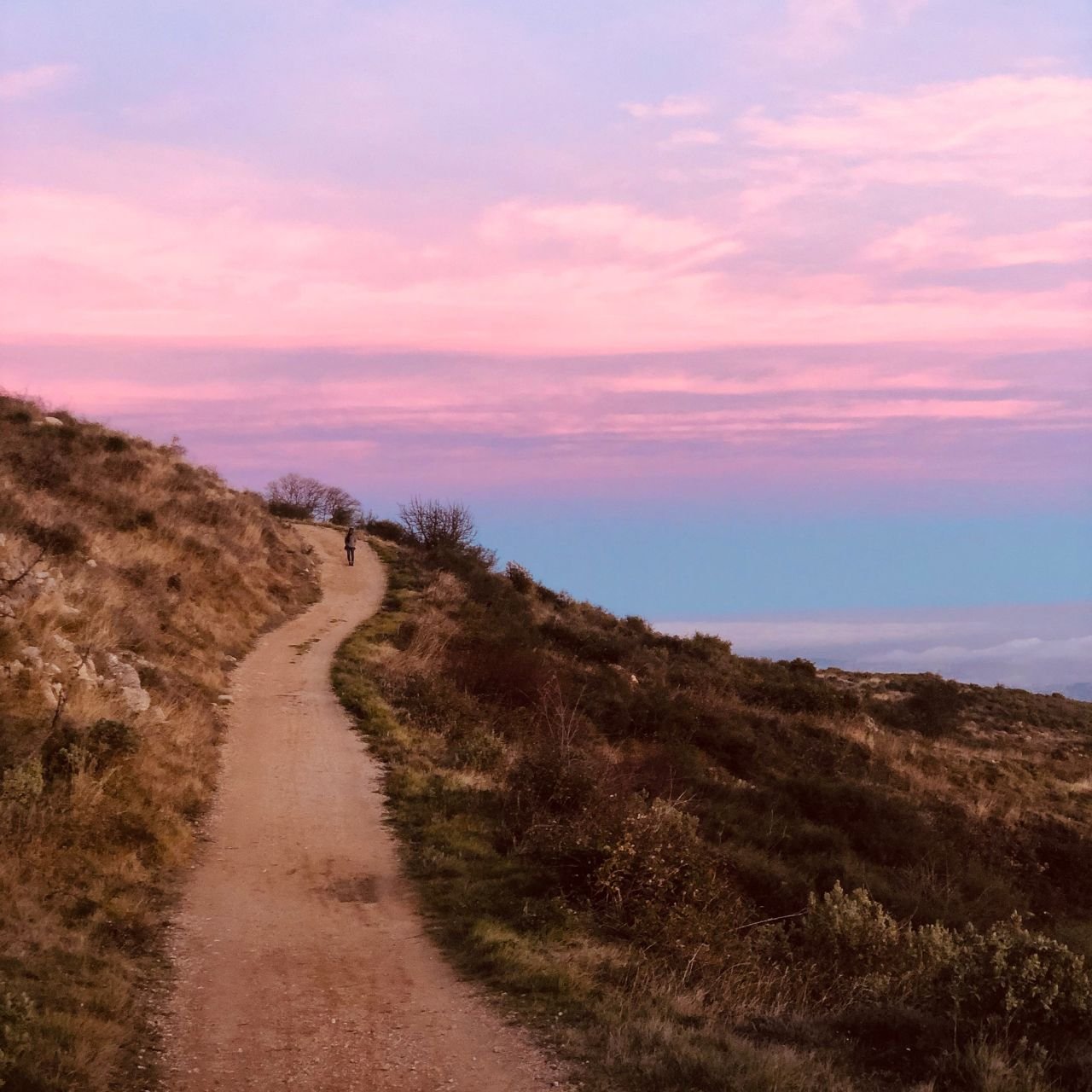 How Intuition Helps You Align With Your Life Purpose