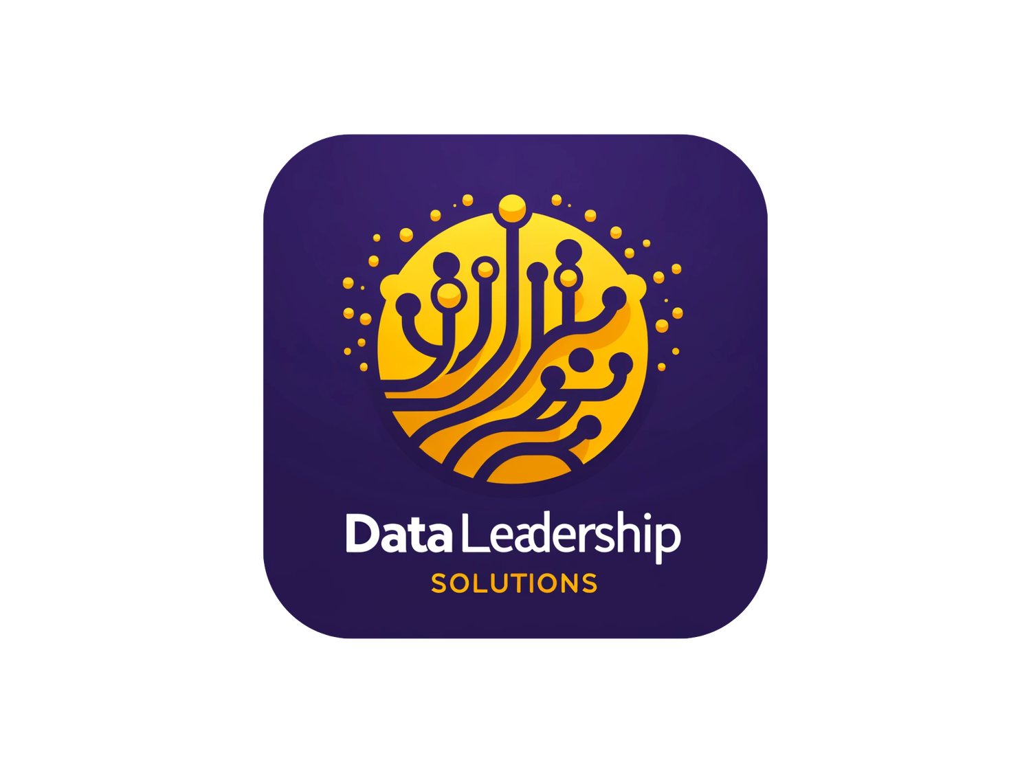 DataLeadership Solutions 