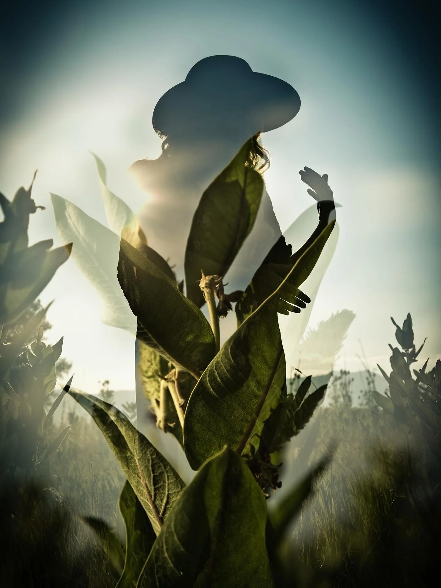 In a world that is breaking at the seams, I find solace with the plants. A miracle to watch them flutter and flow and feel so delicately, witness their aliveness pulse through there endless shades of green. Some wild in meadows with diverse allies ne