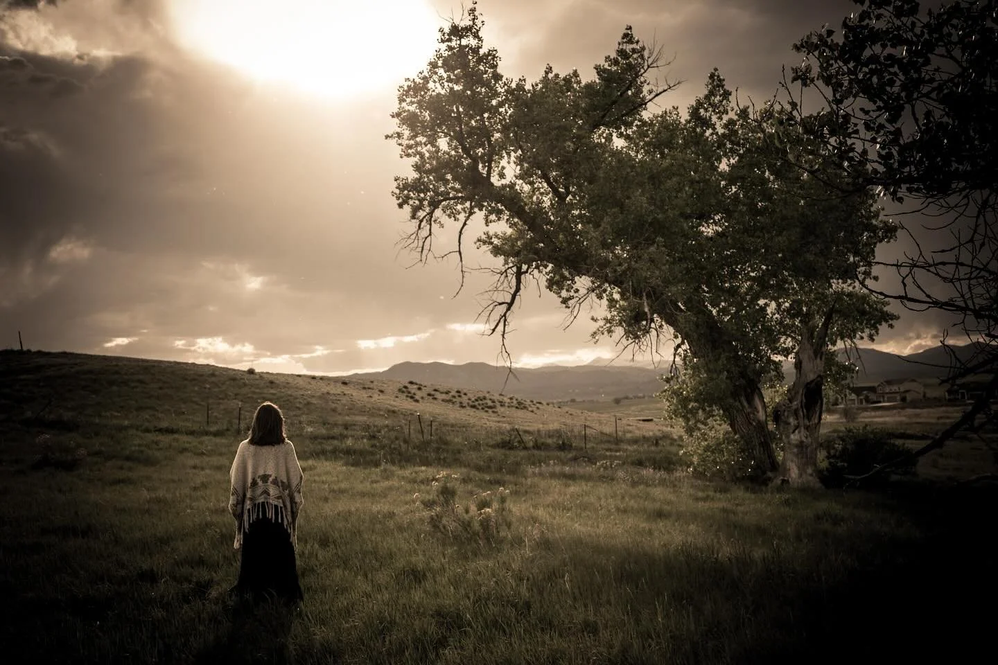 Oh the expanse of the Colorado skies;; the drama and the determination of the clouds over meadows and the wild edge of breakthroughs and breakdowns. So much to drink in when the sun is setting over long rays and glistening grasses.  I forever have a 
