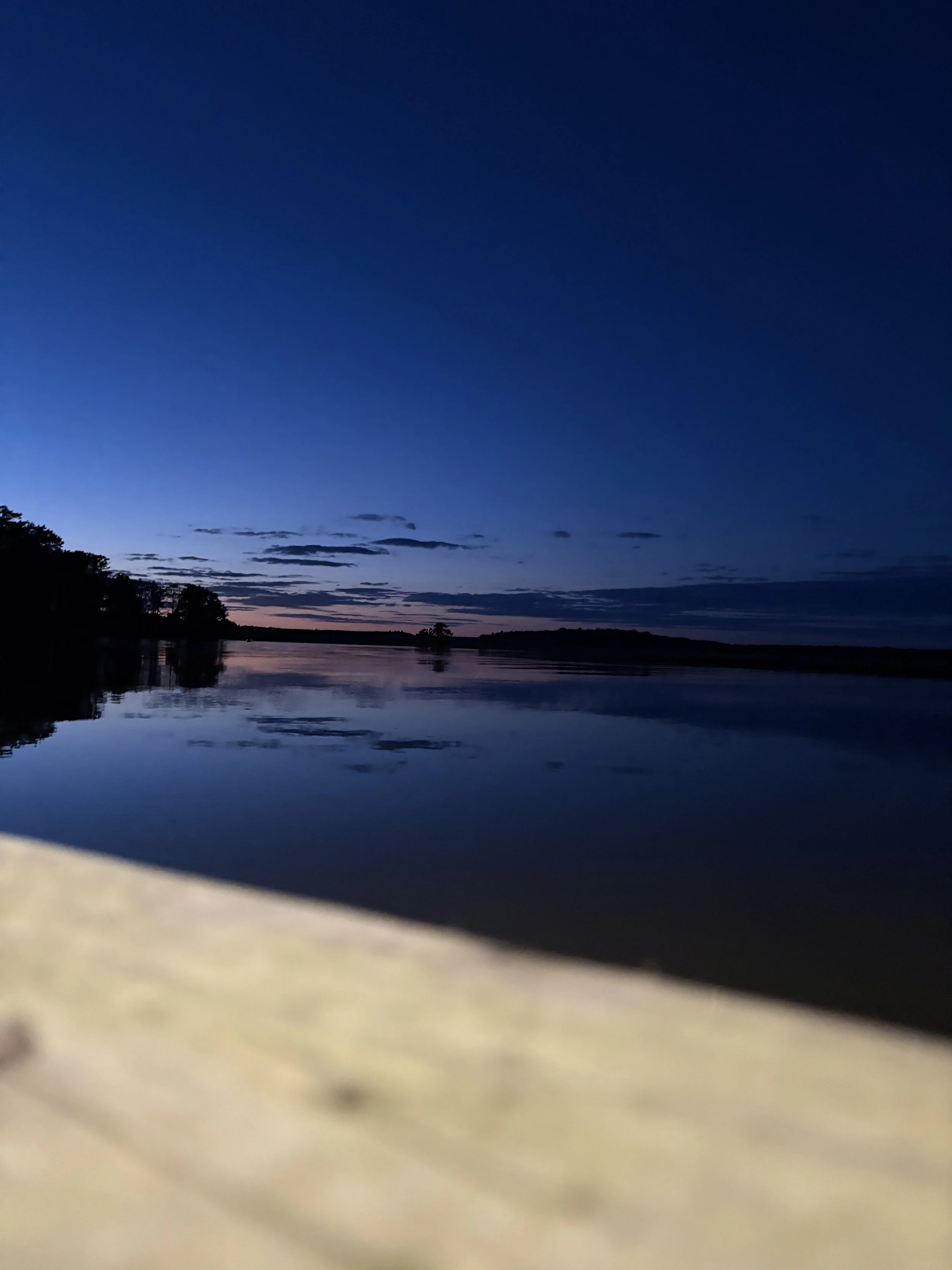 William Poland, "A Look from the Dock"