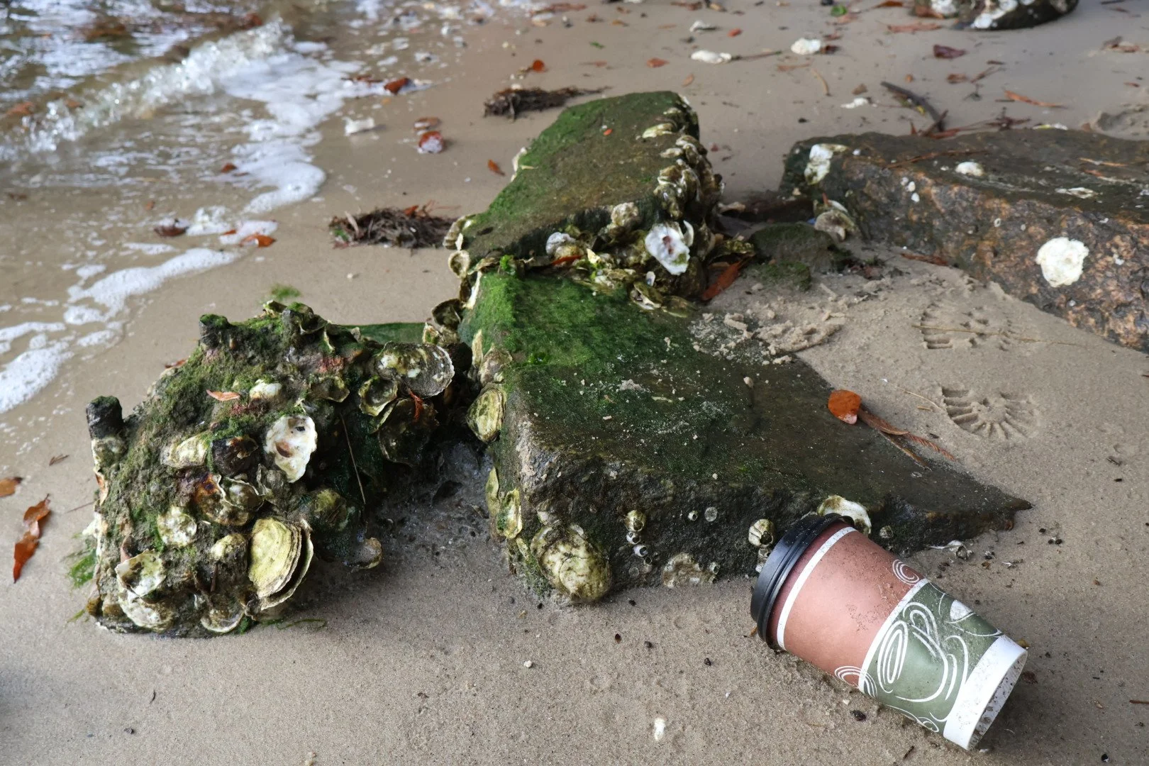 Sadie Pollard, "Litter"