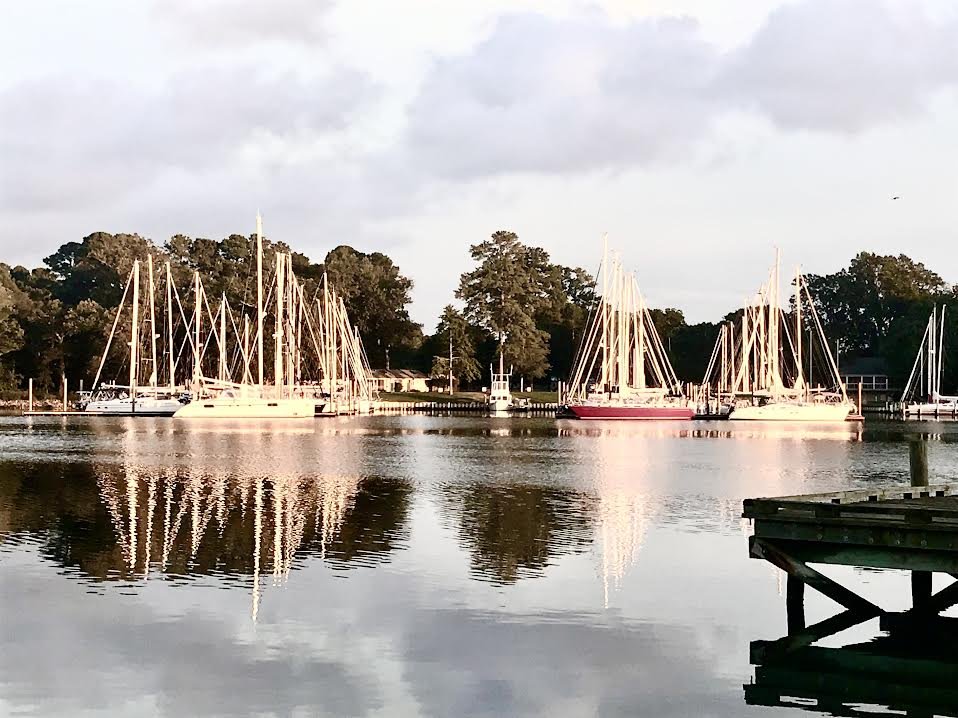 Julis Dise, "Deltaview Dawn"