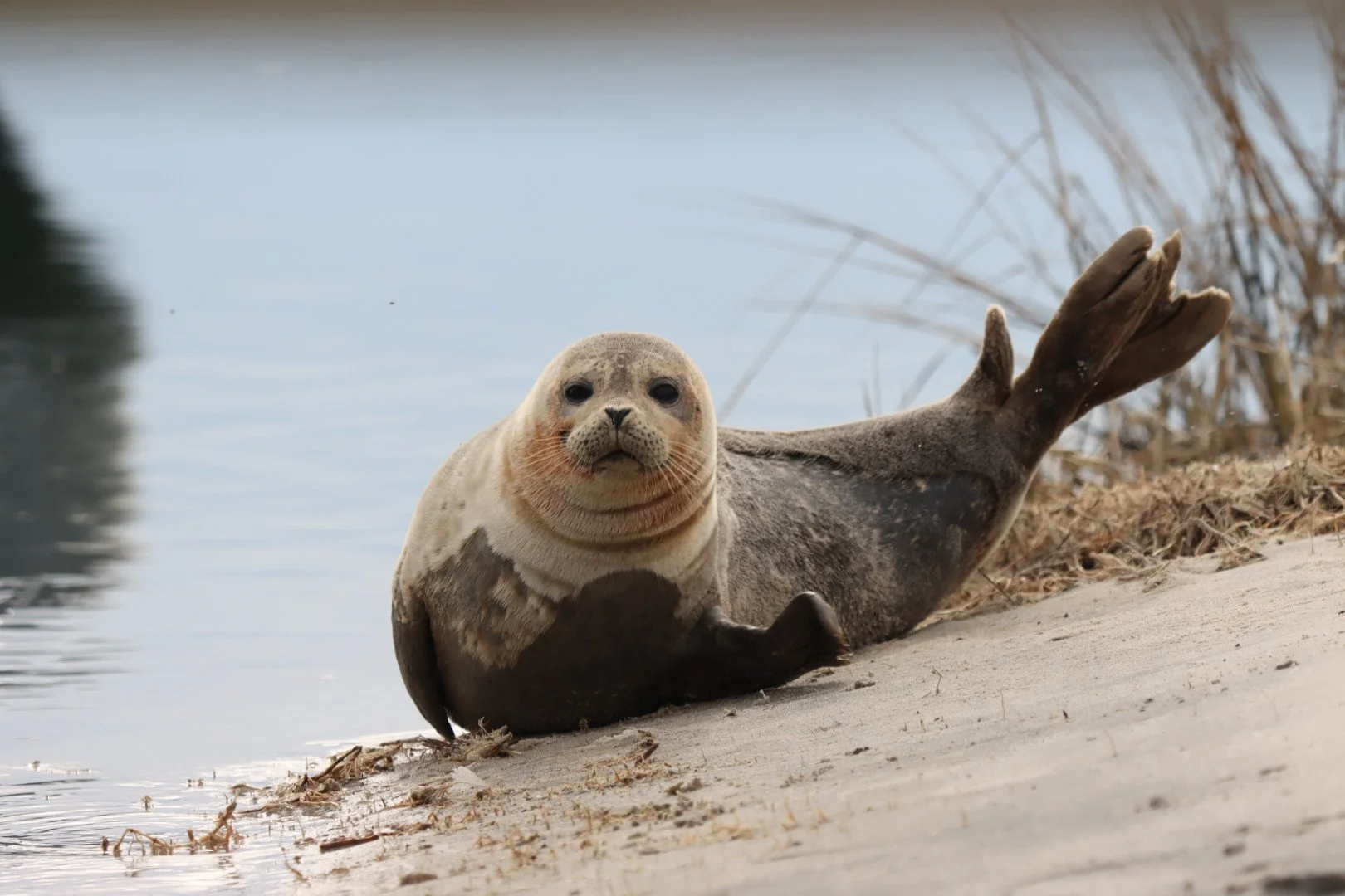 Micky Schriever, "A Friendly Hello"