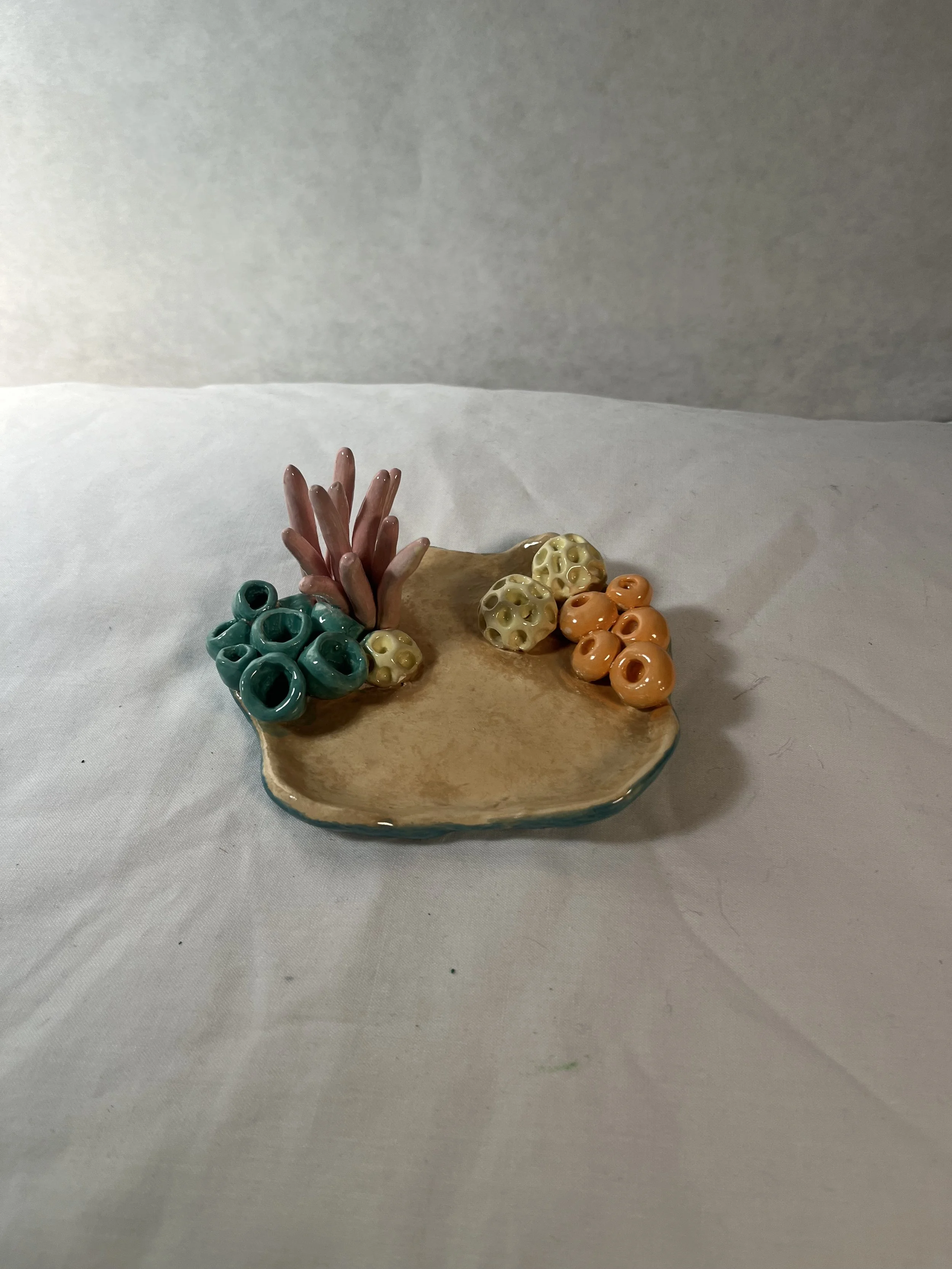 Lily Domozick, "Coral Reef"