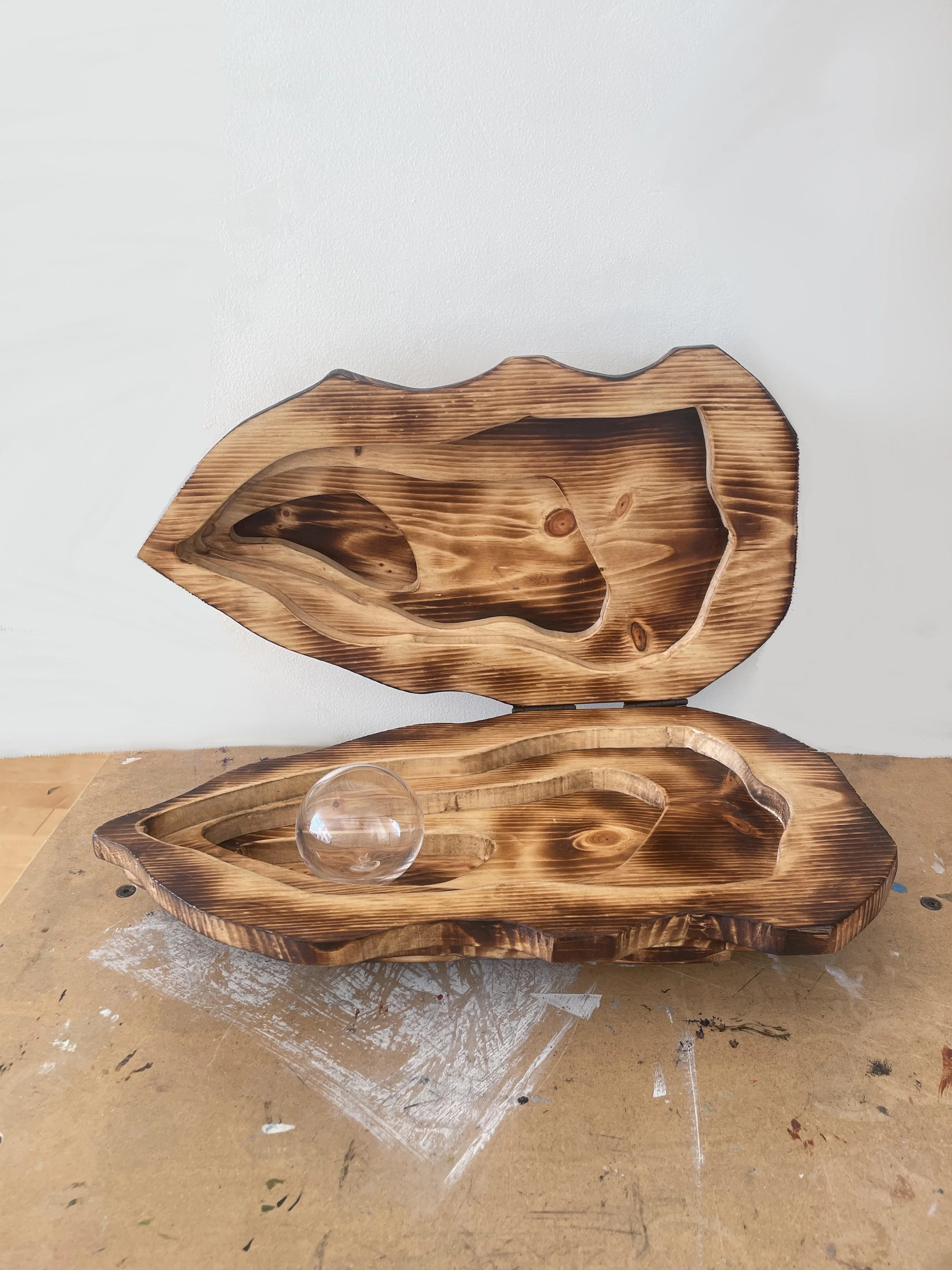 Valentina Arciniegas Gil, "Mollusk"