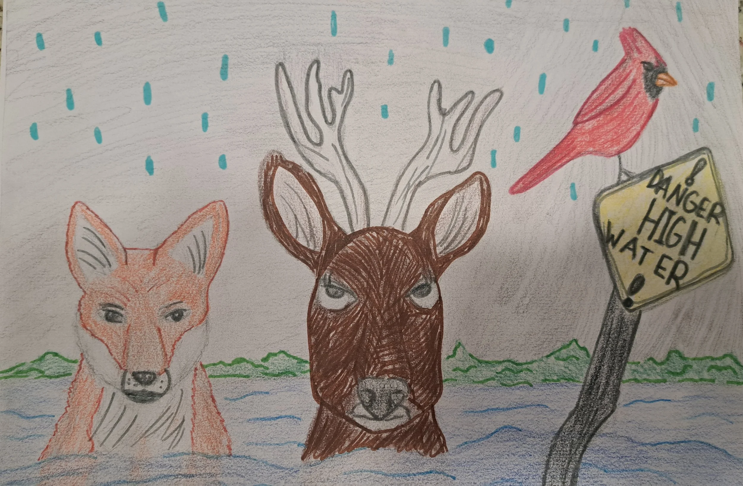 Sheloir Johnson, "Caring for the Coast"