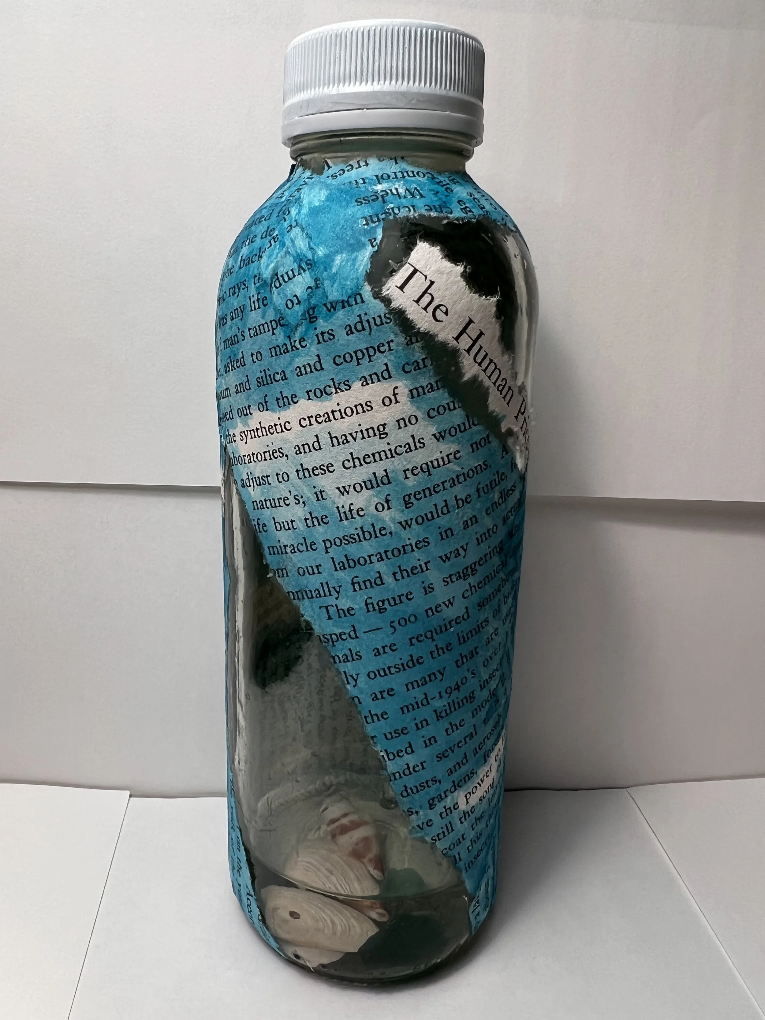 Isa Wisotzki, "The Human Price"