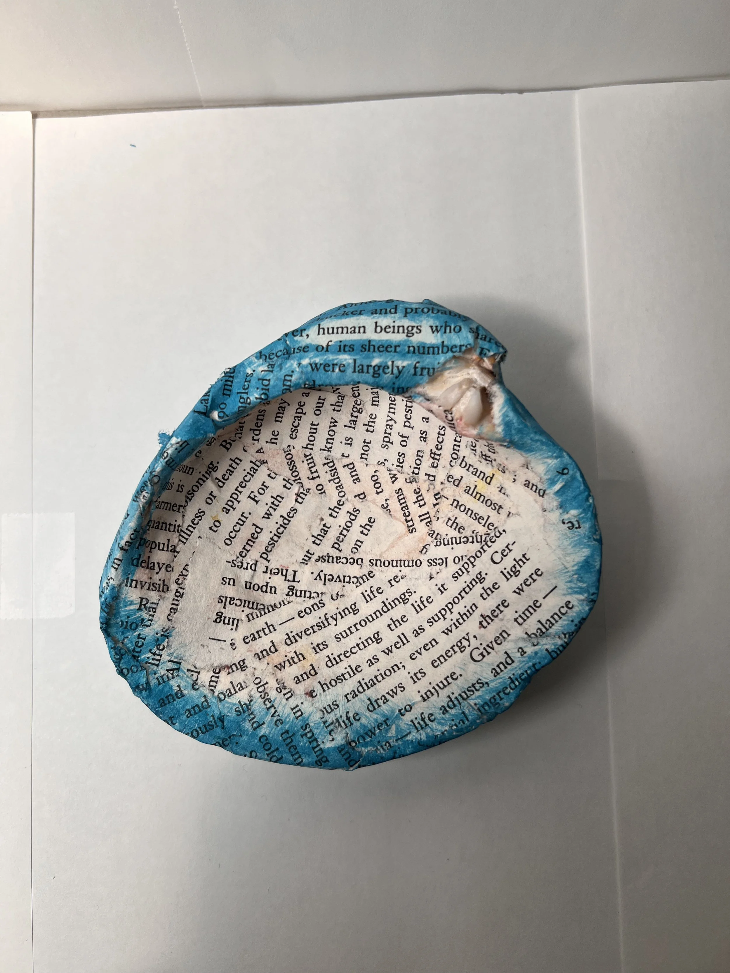 Isa Wisotzki, "Shielding of a Shell"