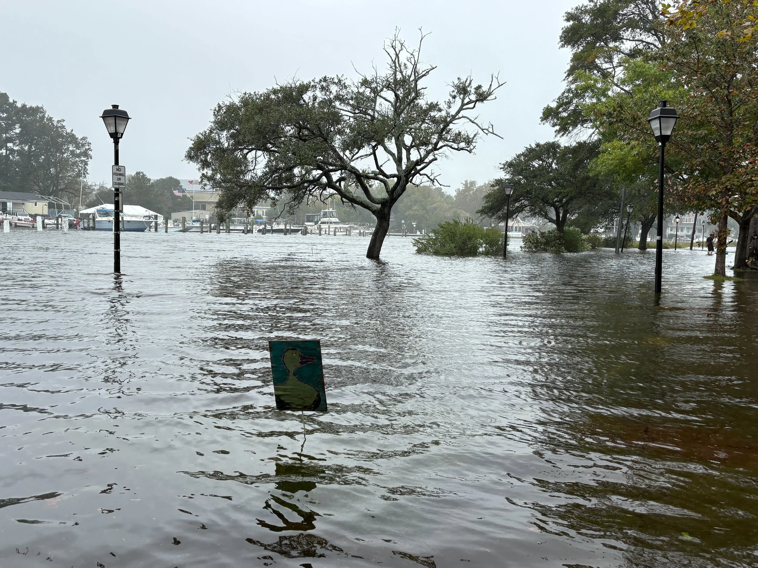 Funding What’s at Risk