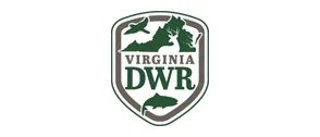2024 VCEJ Report