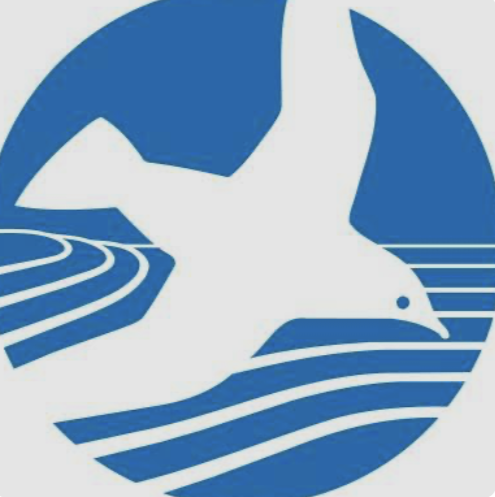 CBF and Hampton University to Develop Pioneering Living Shoreline Course Through CBF Grant