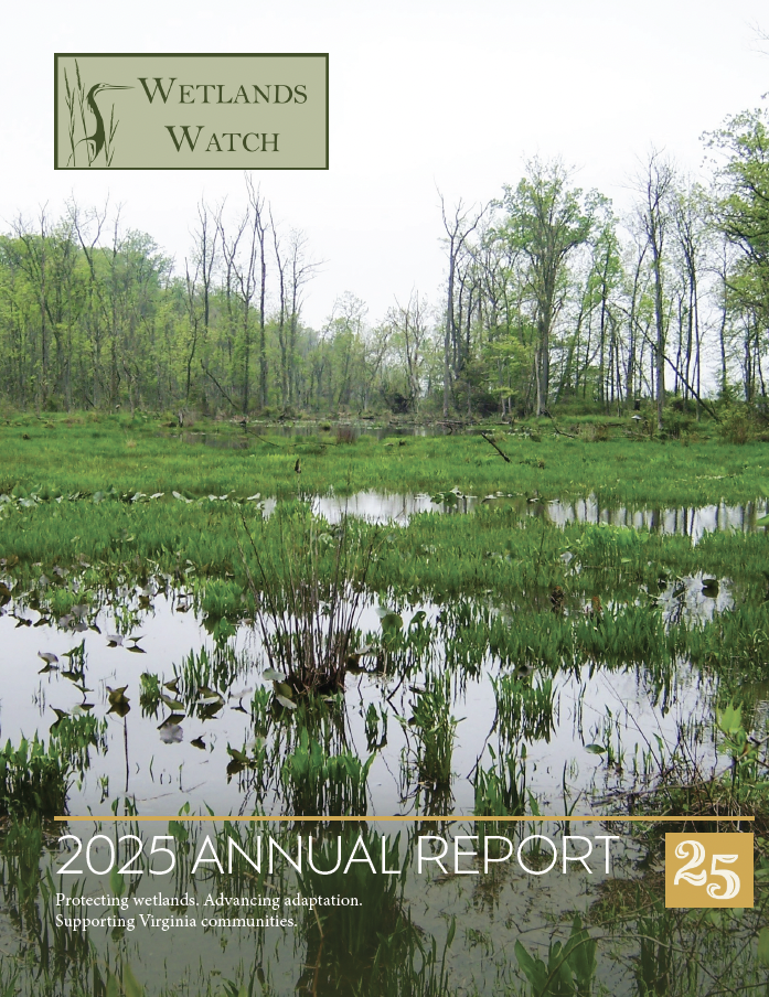 Wetlands Watch 2025 Annual Report