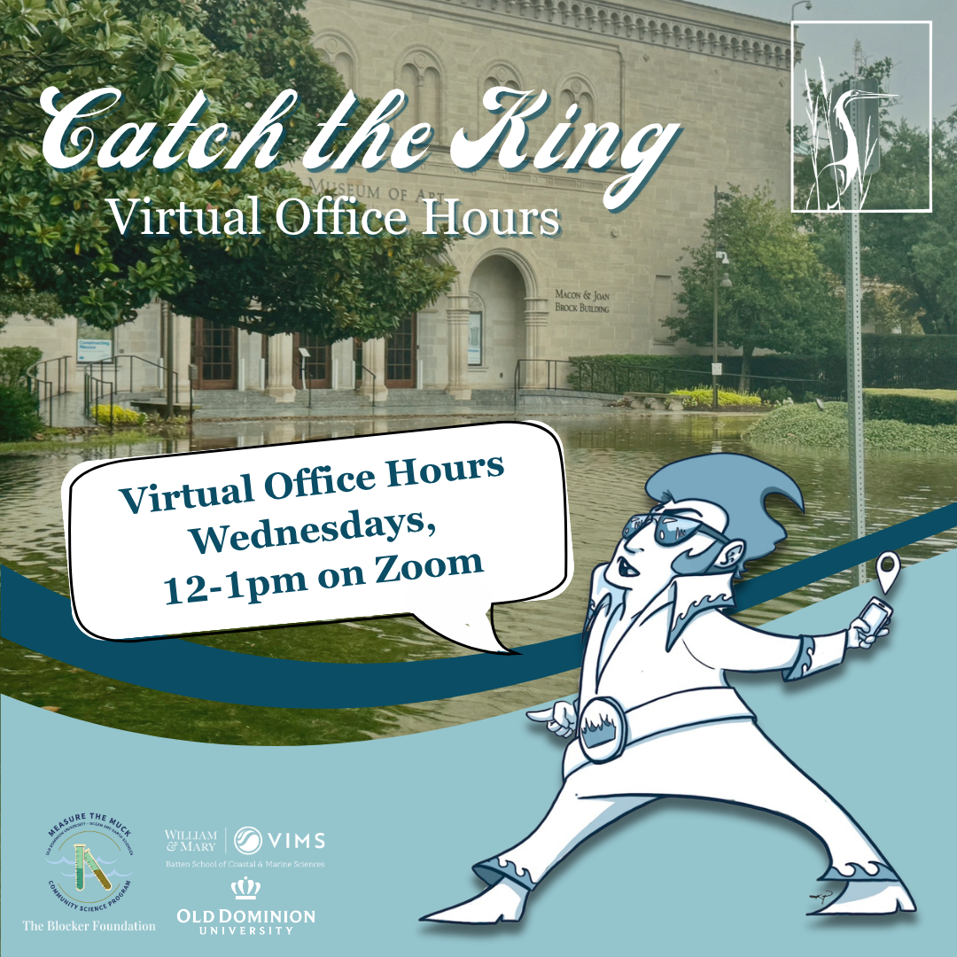 Virtual Office Hours